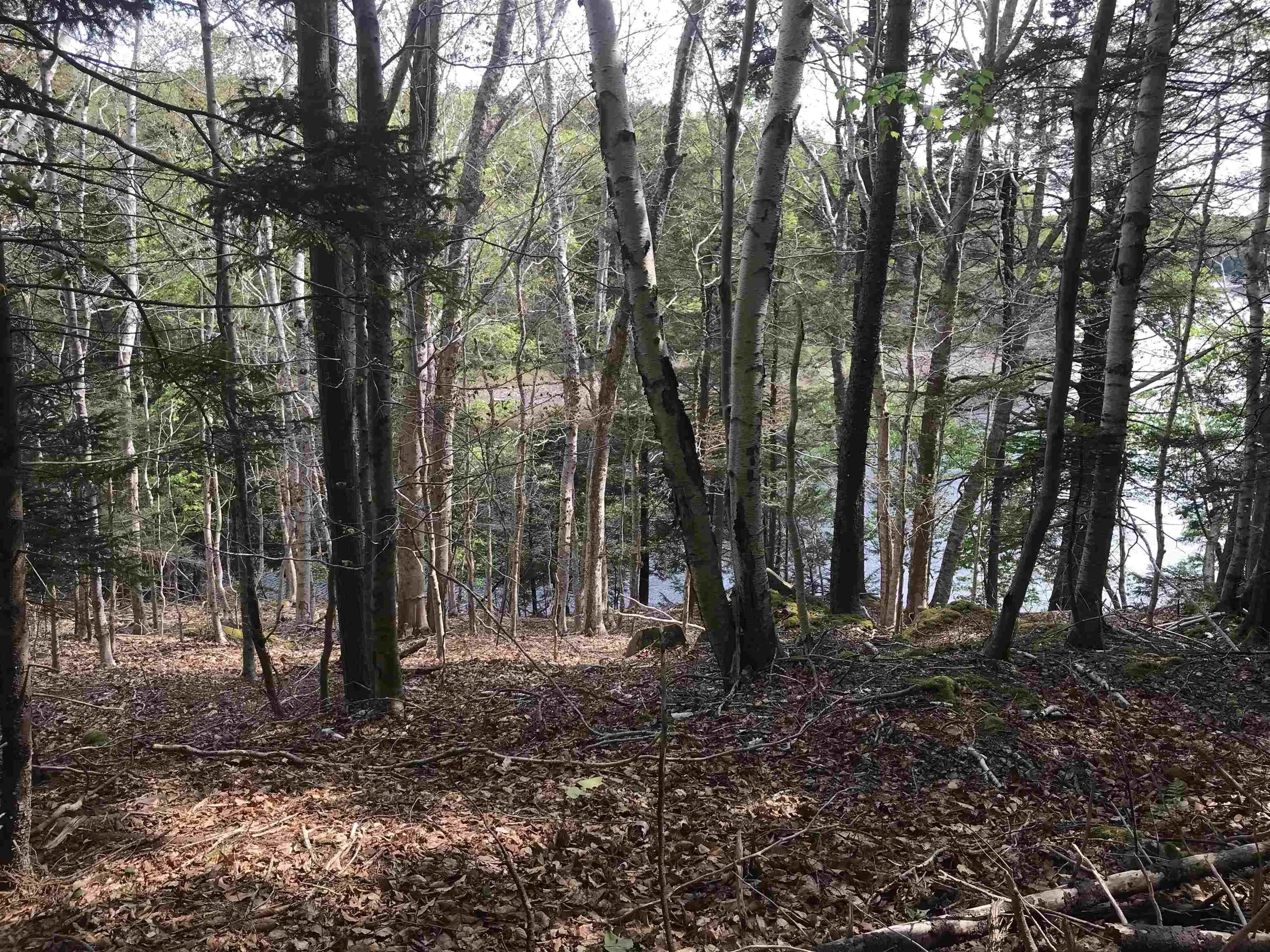 2 Acres Weymouth Falls Road, Weymouth Falls, NS B0W 3T0, ,Land,For Sale,Weymouth Falls,202512826