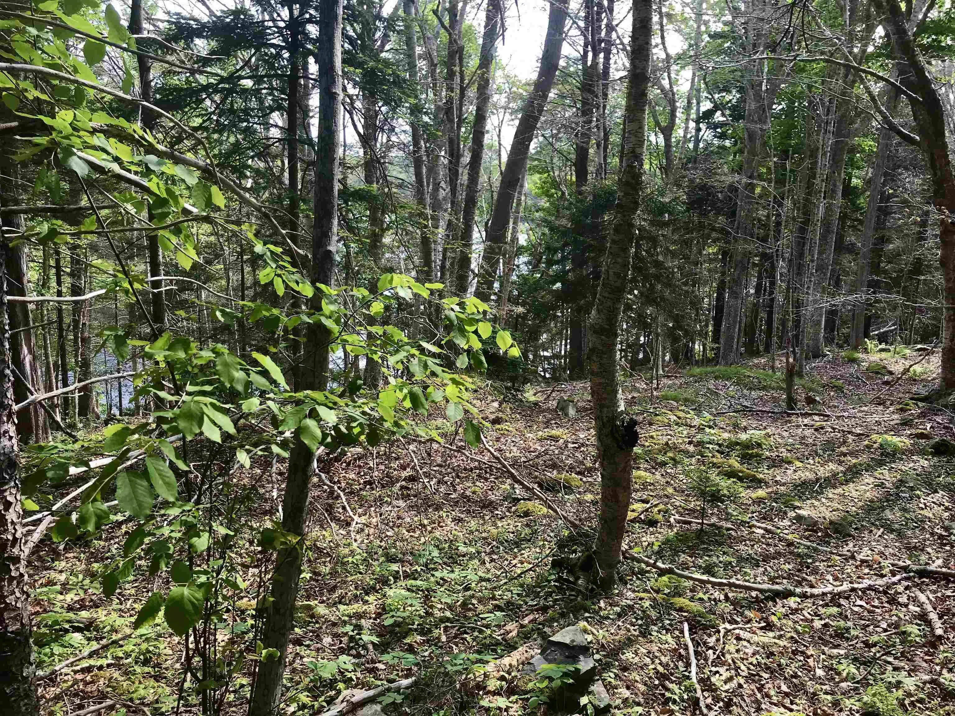 2 Acres Weymouth Falls Road, Weymouth Falls, NS B0W 3T0, ,Land,For Sale,Weymouth Falls,202512826