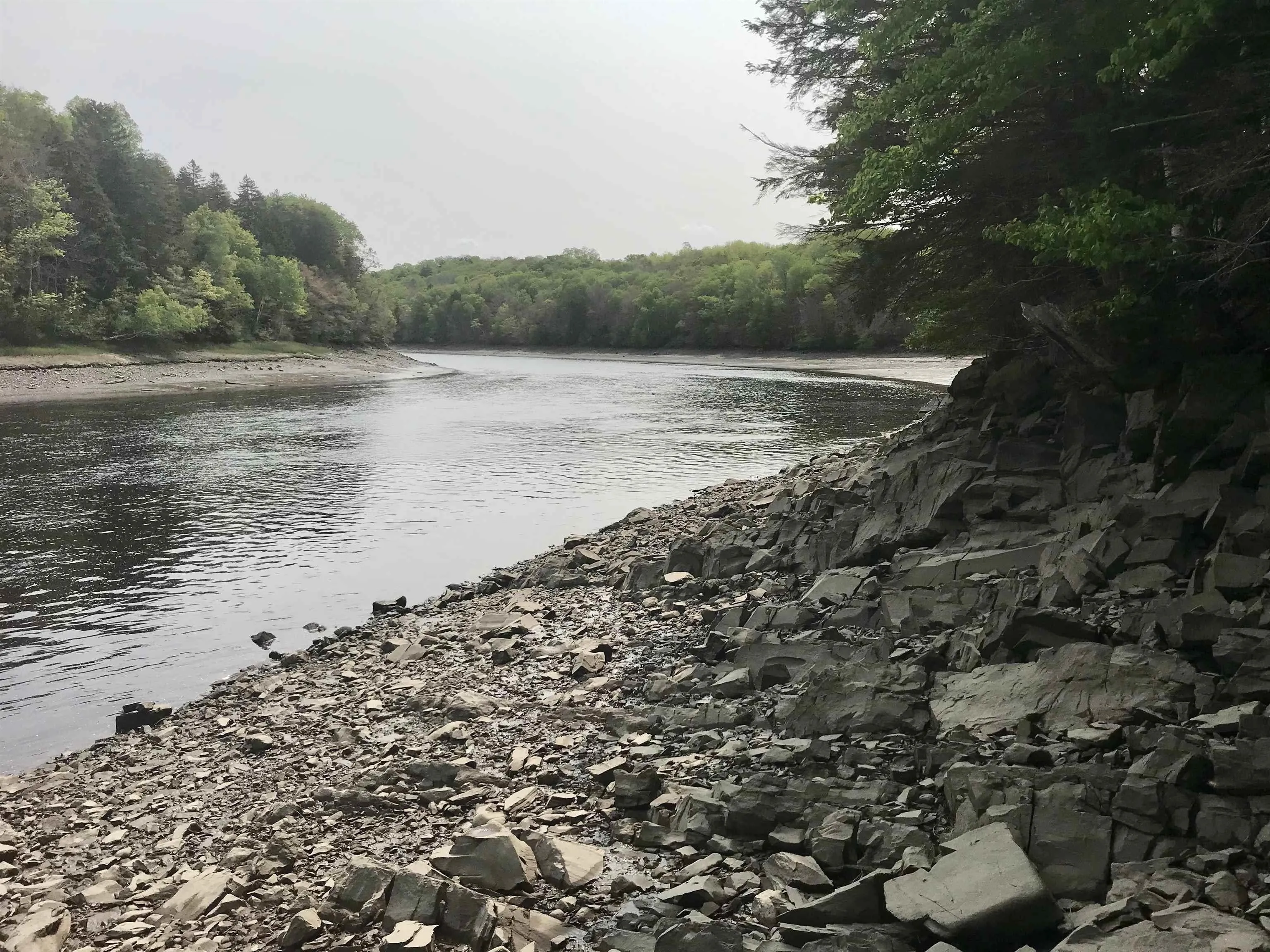 2 Acres Weymouth Falls Road, Weymouth Falls, NS B0W 3T0, ,Land,For Sale,Weymouth Falls,202512826