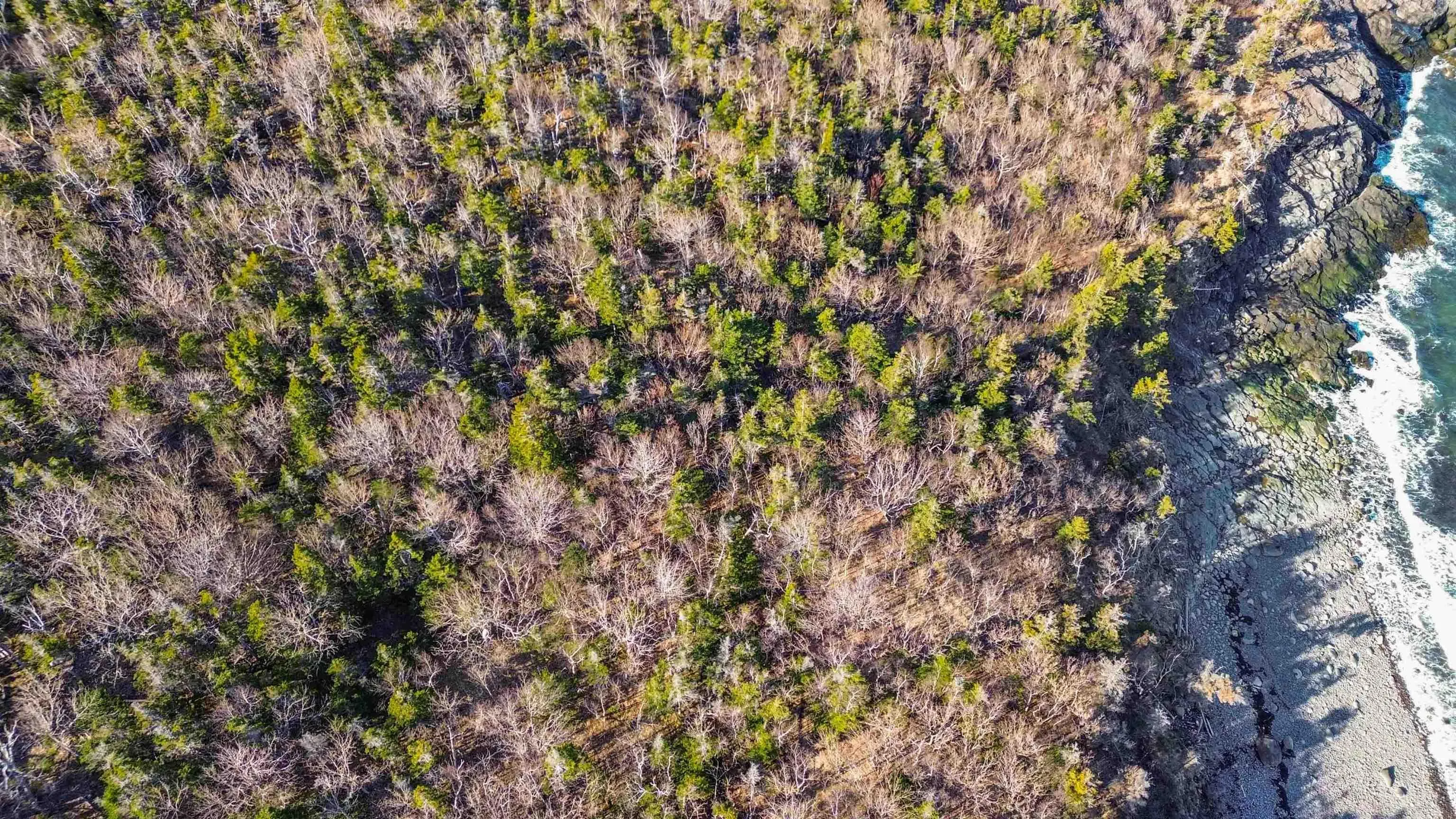 Lot 9 Bay View Lane, Culloden Ns B0v 1a0, ,Land,For Sale,Bay View,202508350
