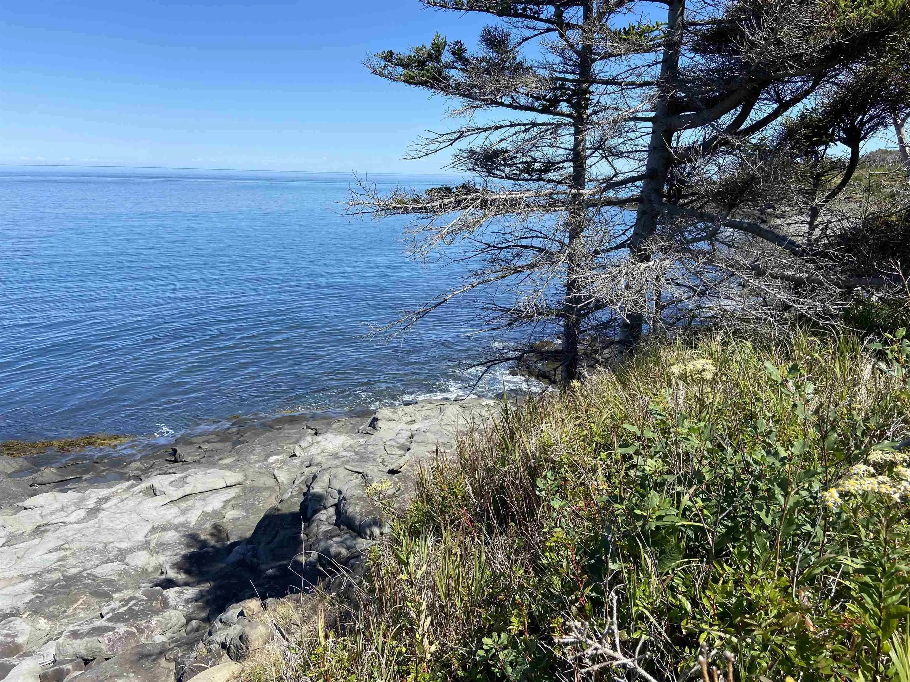 Lot 9 Bay View Lane, Culloden Ns B0v 1a0, ,Land,For Sale,Bay View,202508350