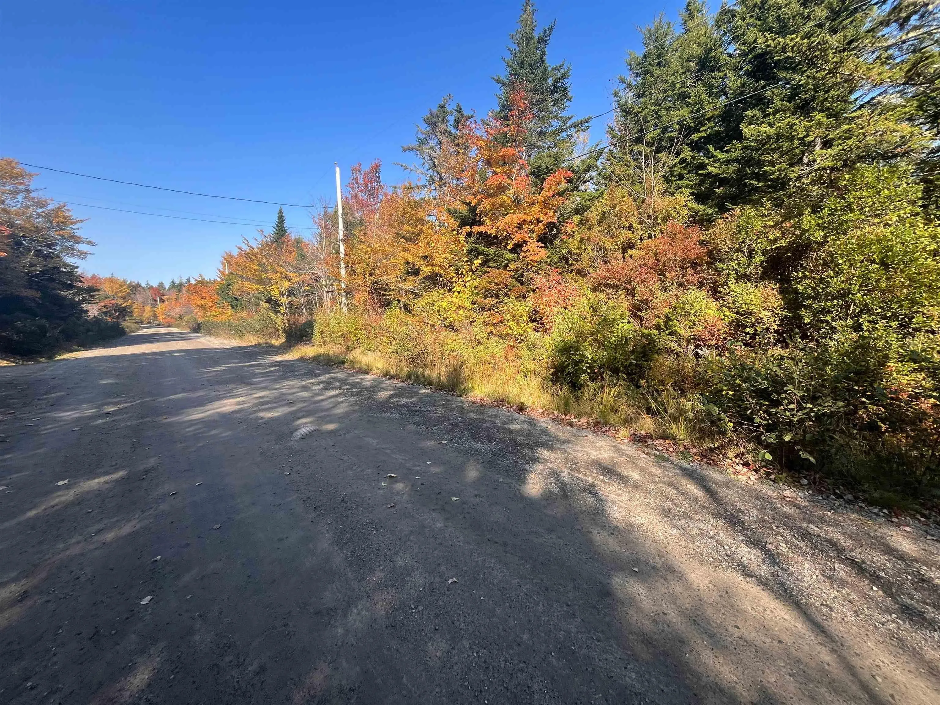 Lot Belleville Road, Belleville Ns B0w 3m0, ,Land,For Sale,Belleville,202425153