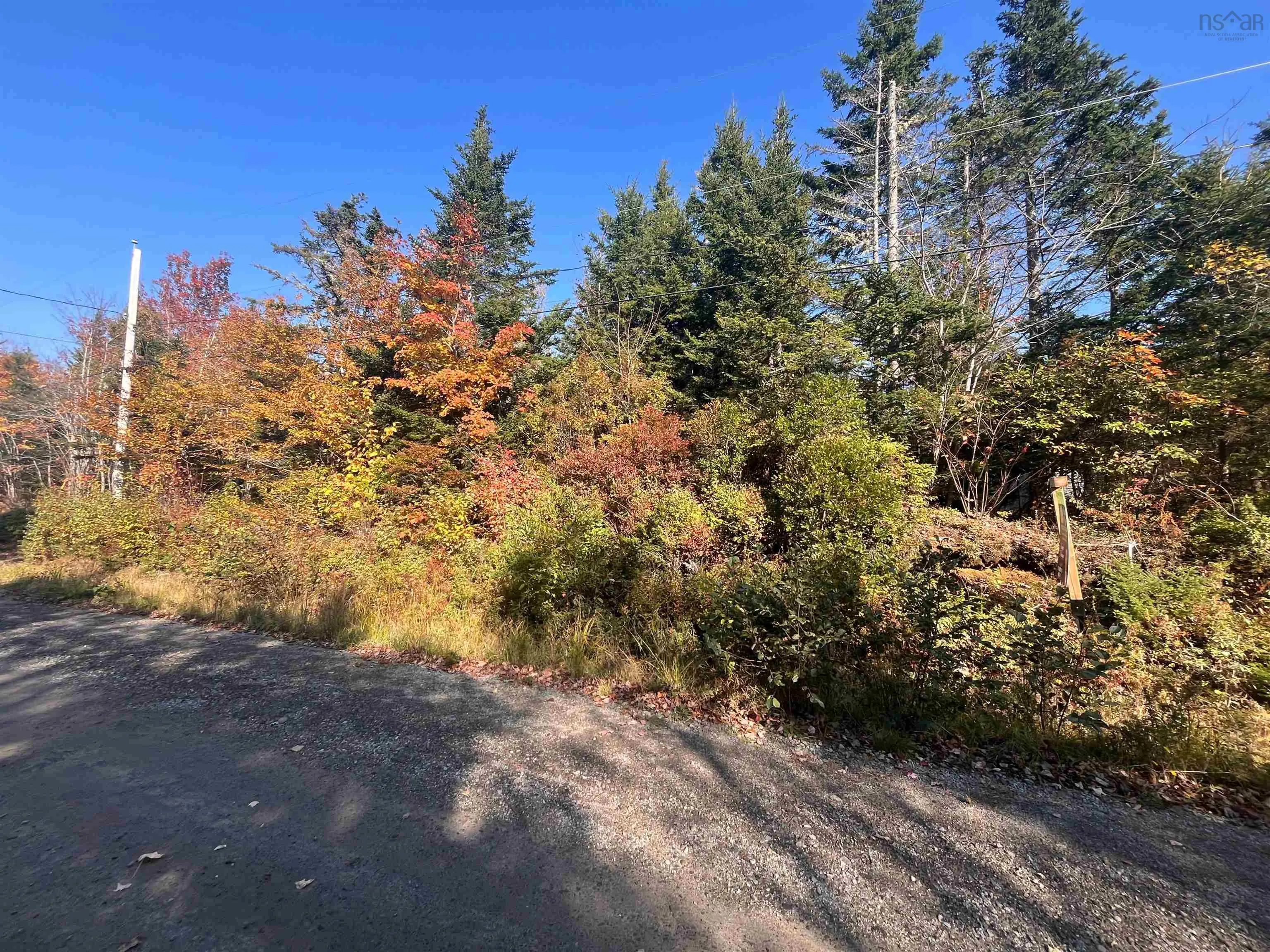 Lot Belleville Road, Belleville Ns B0w 3m0, ,Land,For Sale,Belleville,202425153