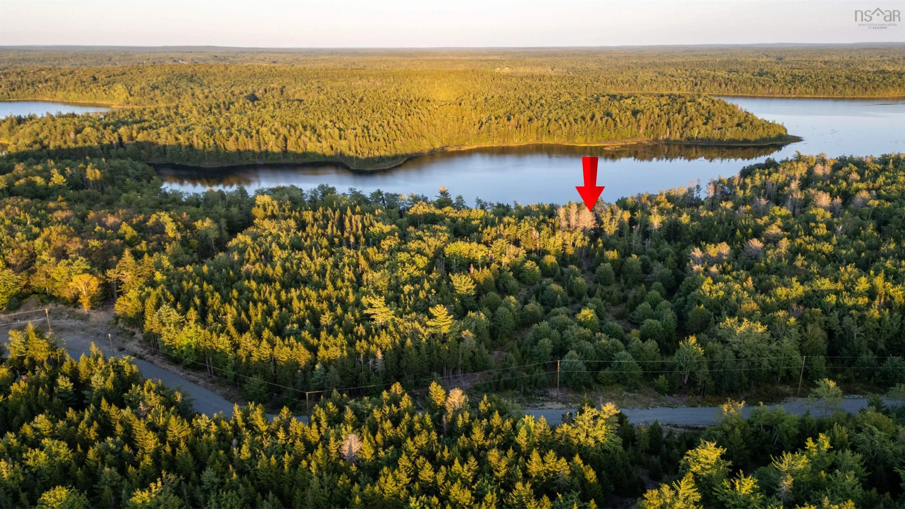 Lot 7 R & N Road, Carleton Ns B5a 5r2, ,Land,For Sale,R & N,202426881
