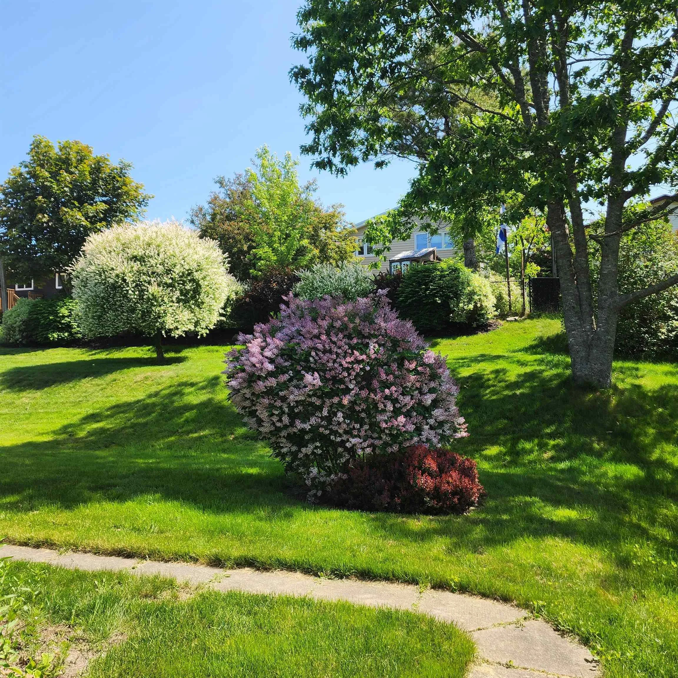 55 Oakmount Drive, Bedford, NS B4A 2W1, 4 Bedrooms Bedrooms, ,3 BathroomsBathrooms,Residential,For Sale,Oakmount,202522330