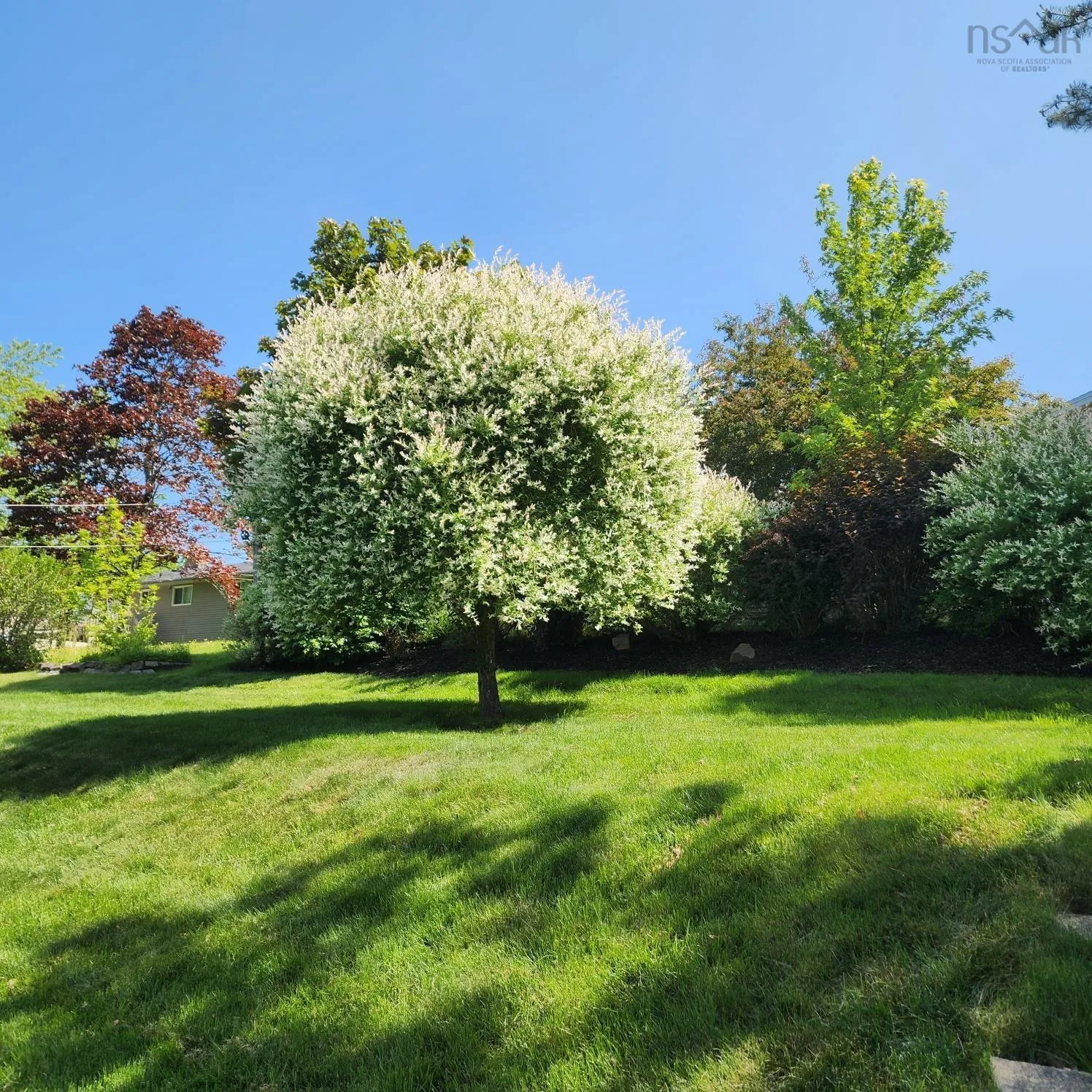 55 Oakmount Drive, Bedford, NS B4A 2W1, 4 Bedrooms Bedrooms, ,3 BathroomsBathrooms,Residential,For Sale,Oakmount,202522330