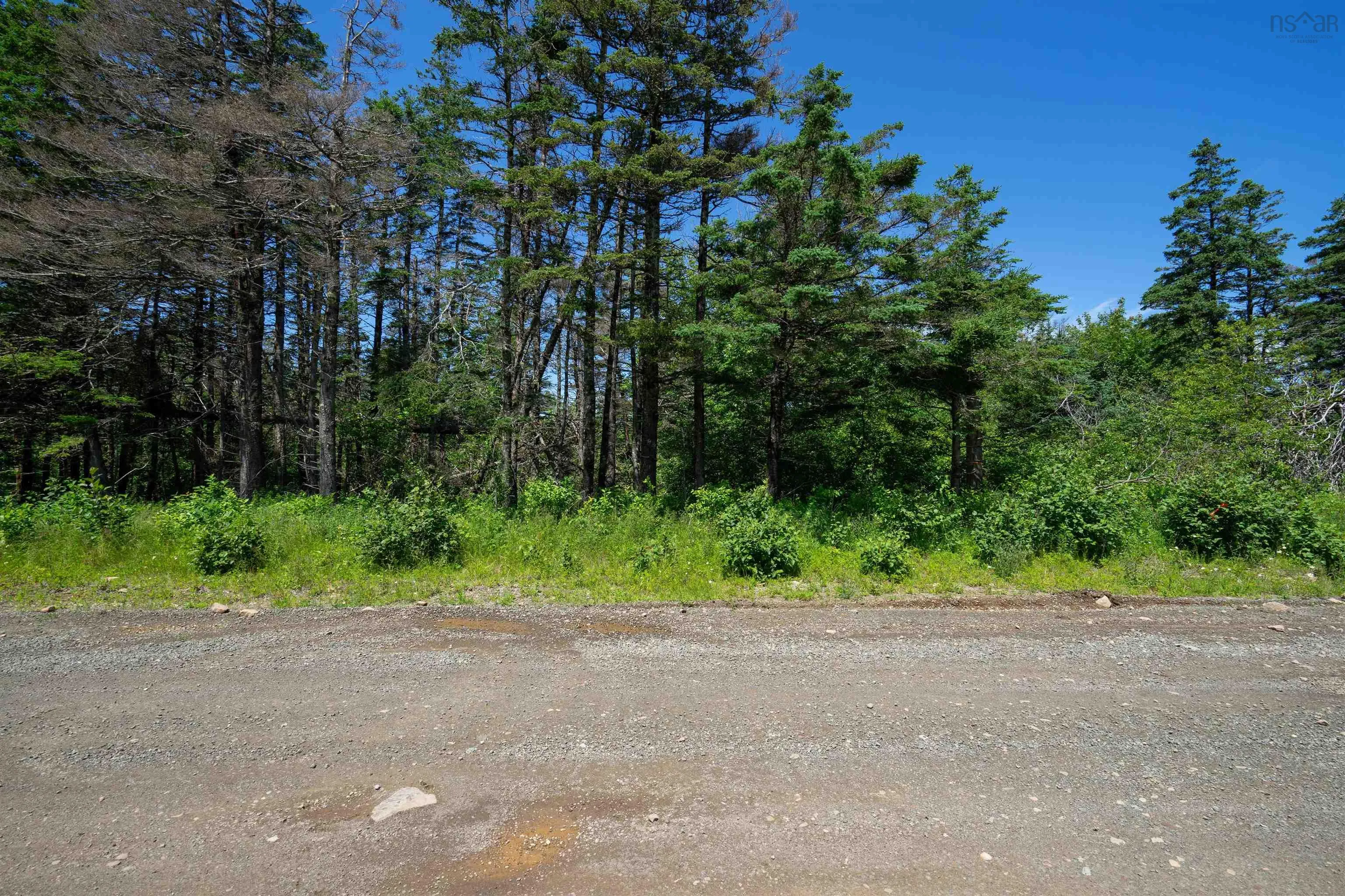 Lot 21 Culloden Road, Roxville Ns B0v 1a0, ,Land,For Sale,Culloden Road,202416293