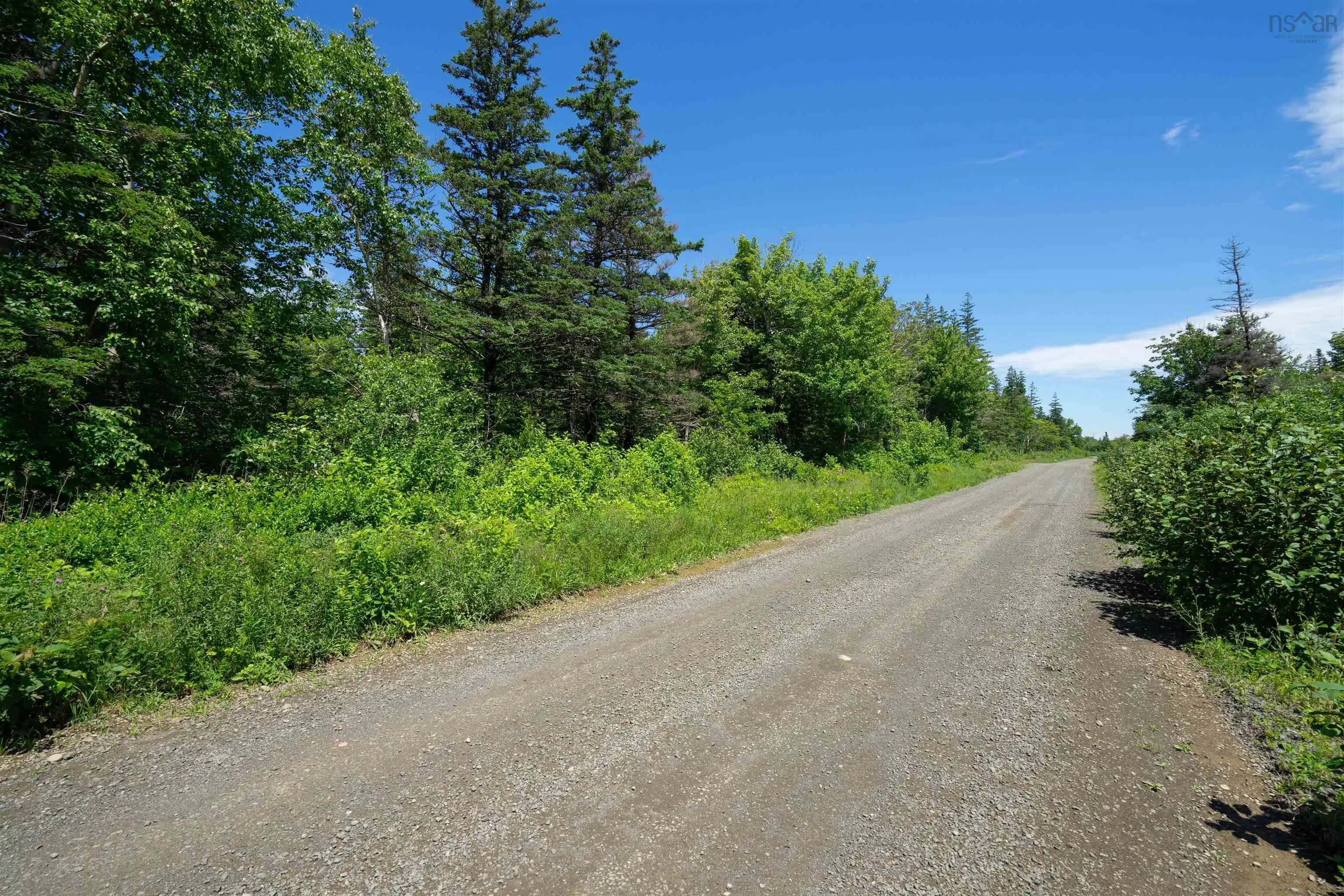 Lot 21 Culloden Road, Roxville Ns B0v 1a0, ,Land,For Sale,Culloden Road,202416293