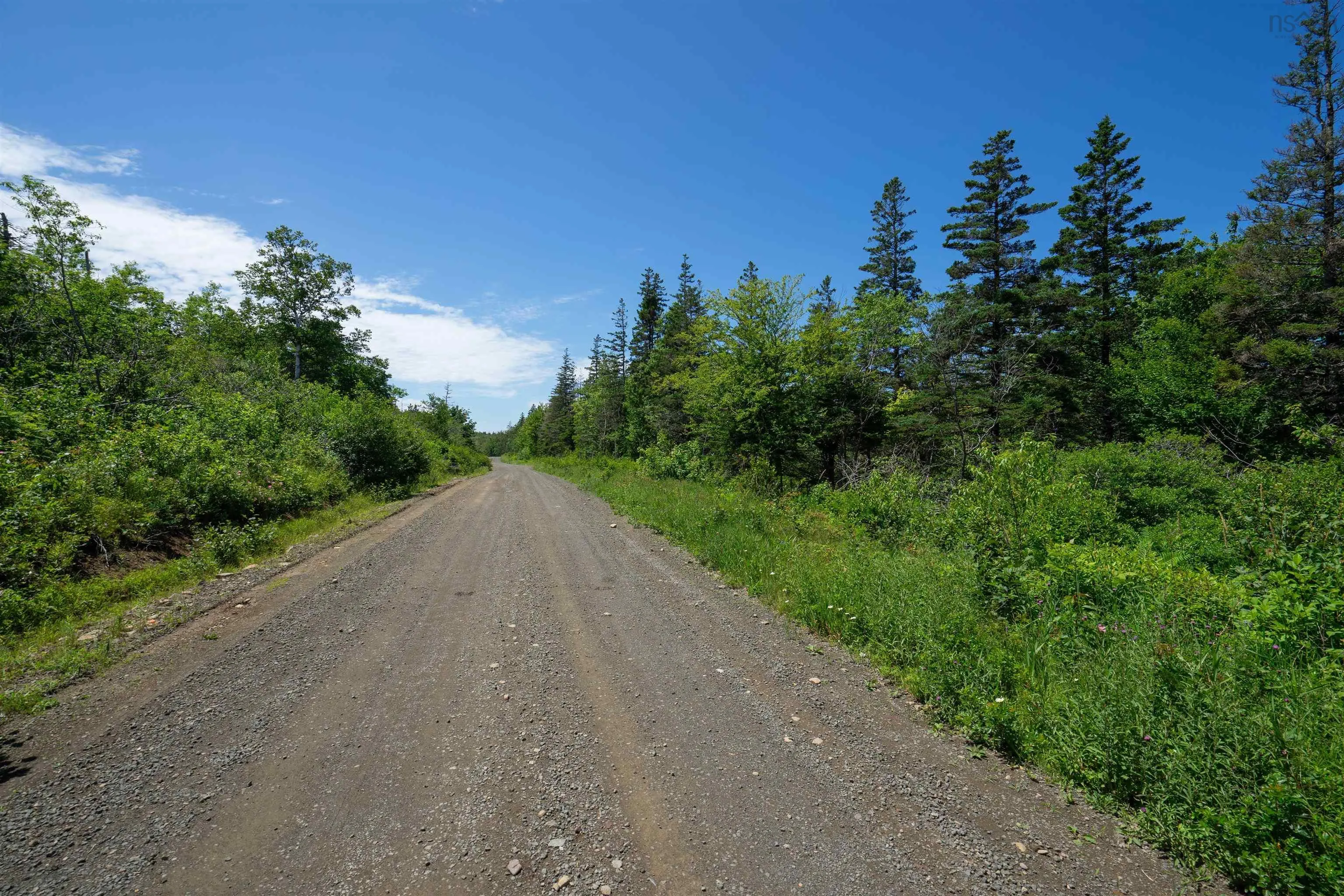 Lot 21 Culloden Road, Roxville Ns B0v 1a0, ,Land,For Sale,Culloden Road,202416293