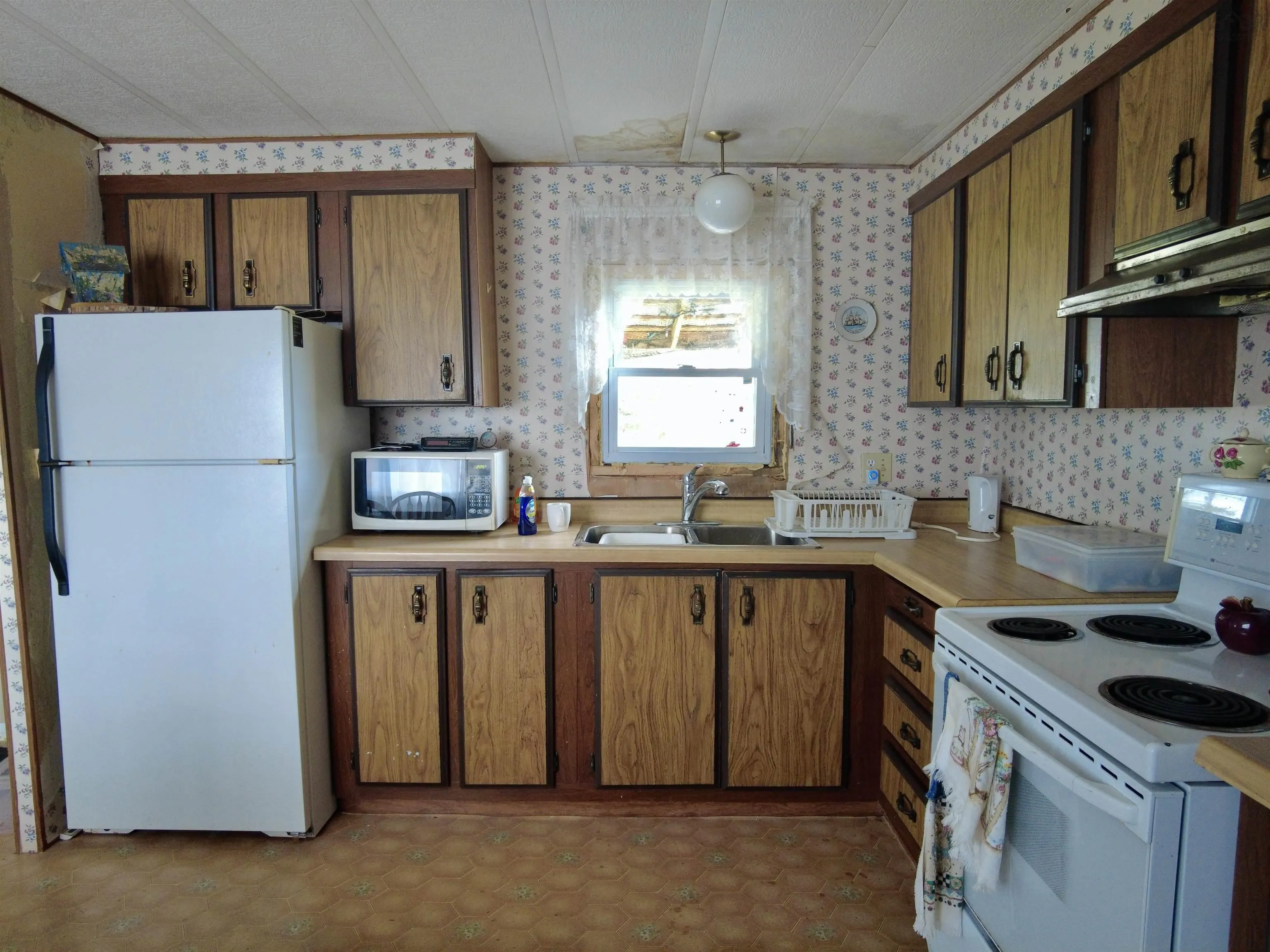 9834 Highway 366 Highway, Port Howe, NS B0K 1L0, 3 Bedrooms Bedrooms, ,1 BathroomBathrooms,Residential,For Sale,Highway 366,202512894