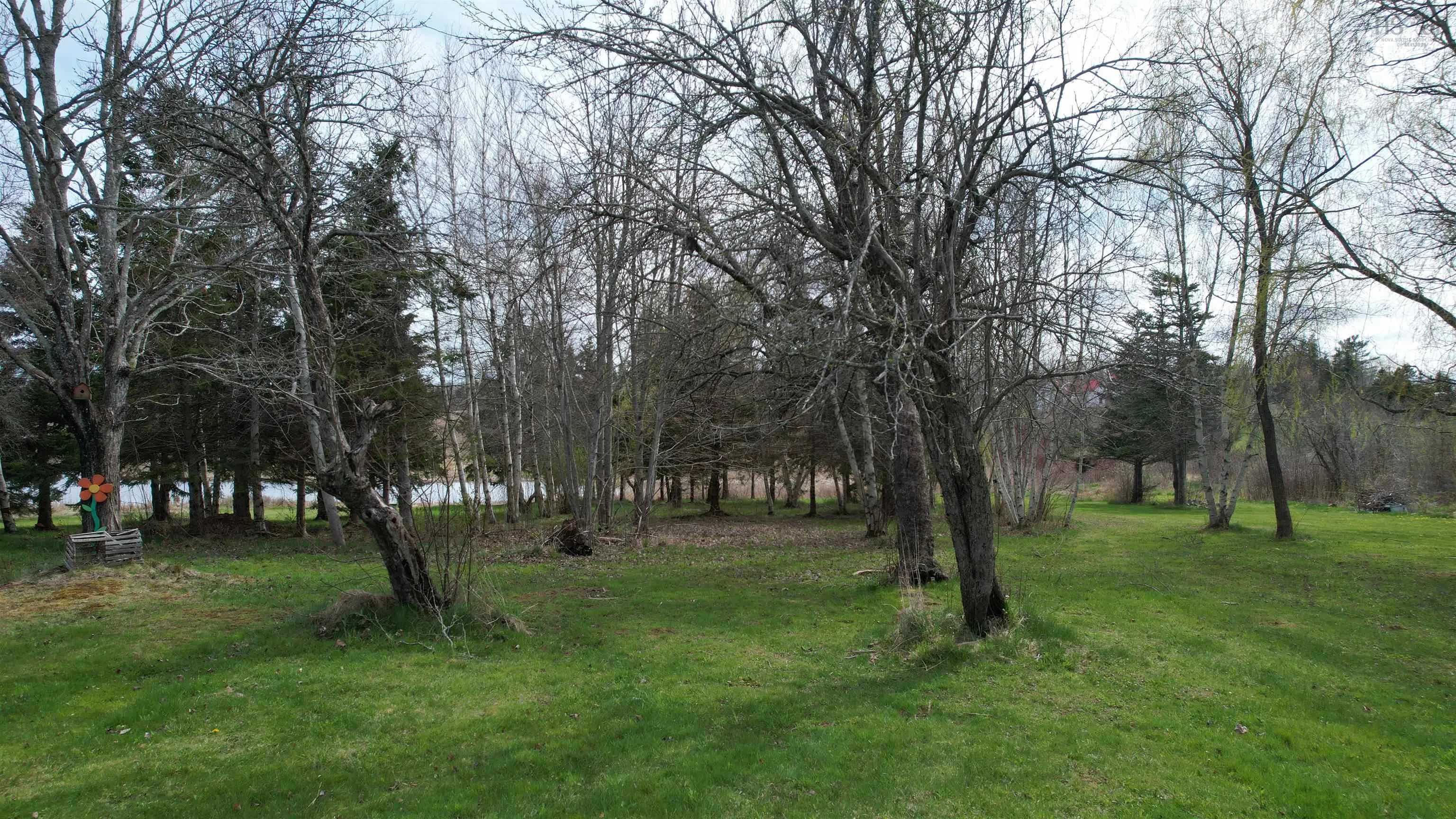 9834 Highway 366 Highway, Port Howe, NS B0K 1L0, 3 Bedrooms Bedrooms, ,1 BathroomBathrooms,Residential,For Sale,Highway 366,202512894