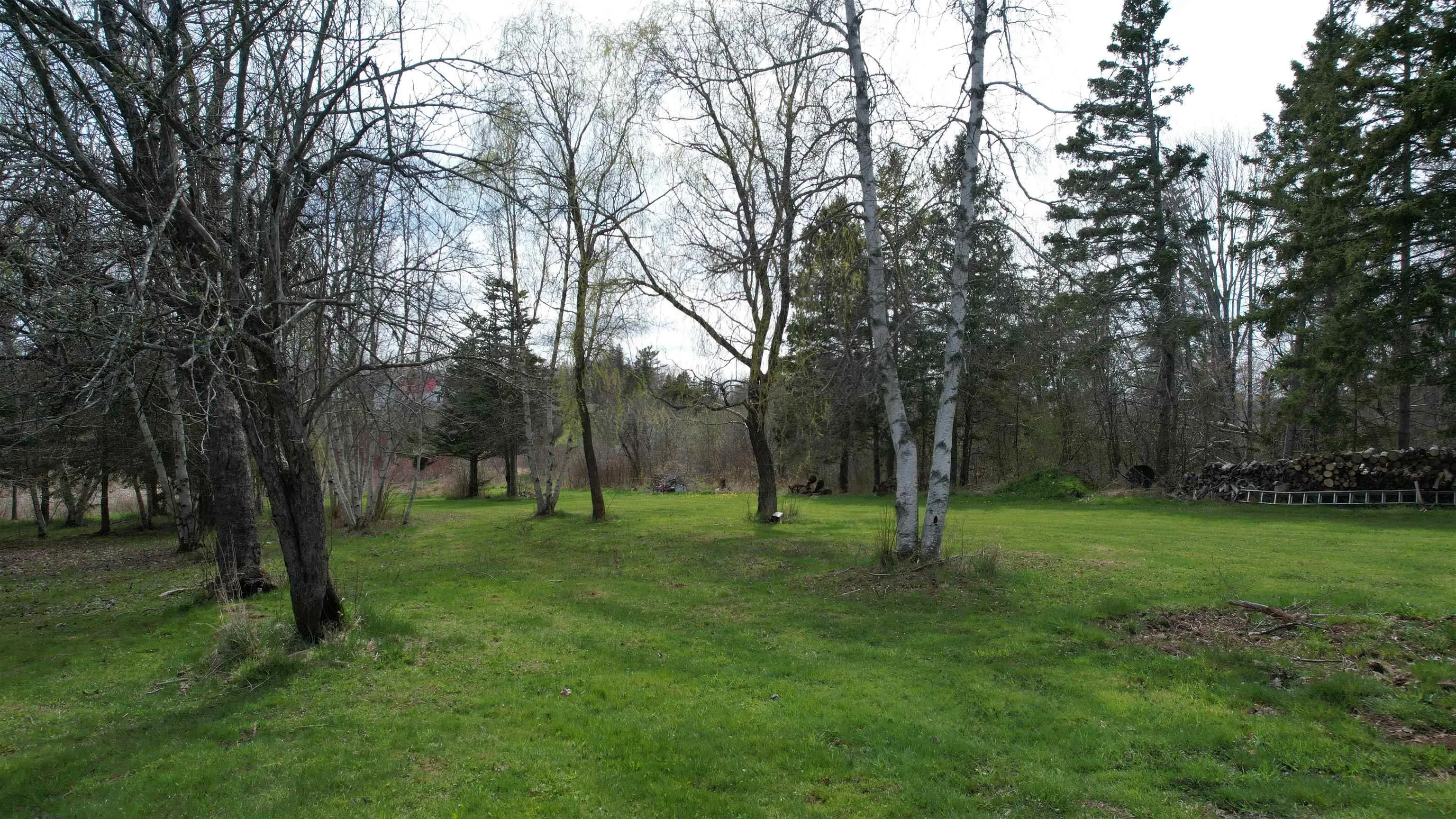 9834 Highway 366 Highway, Port Howe, NS B0K 1L0, 3 Bedrooms Bedrooms, ,1 BathroomBathrooms,Residential,For Sale,Highway 366,202512894