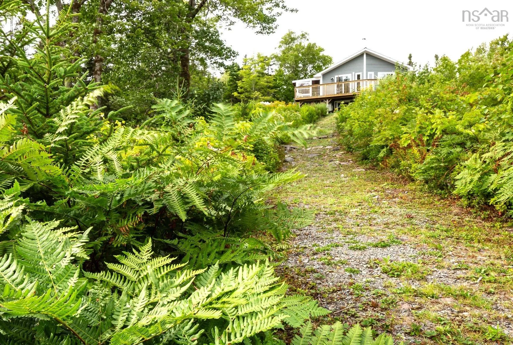 44 Trout Lake Drive, Grande Anse, NS B0E 1V0, 4 Bedrooms Bedrooms, ,2 BathroomsBathrooms,Residential,For Sale,Trout Lake,202522248