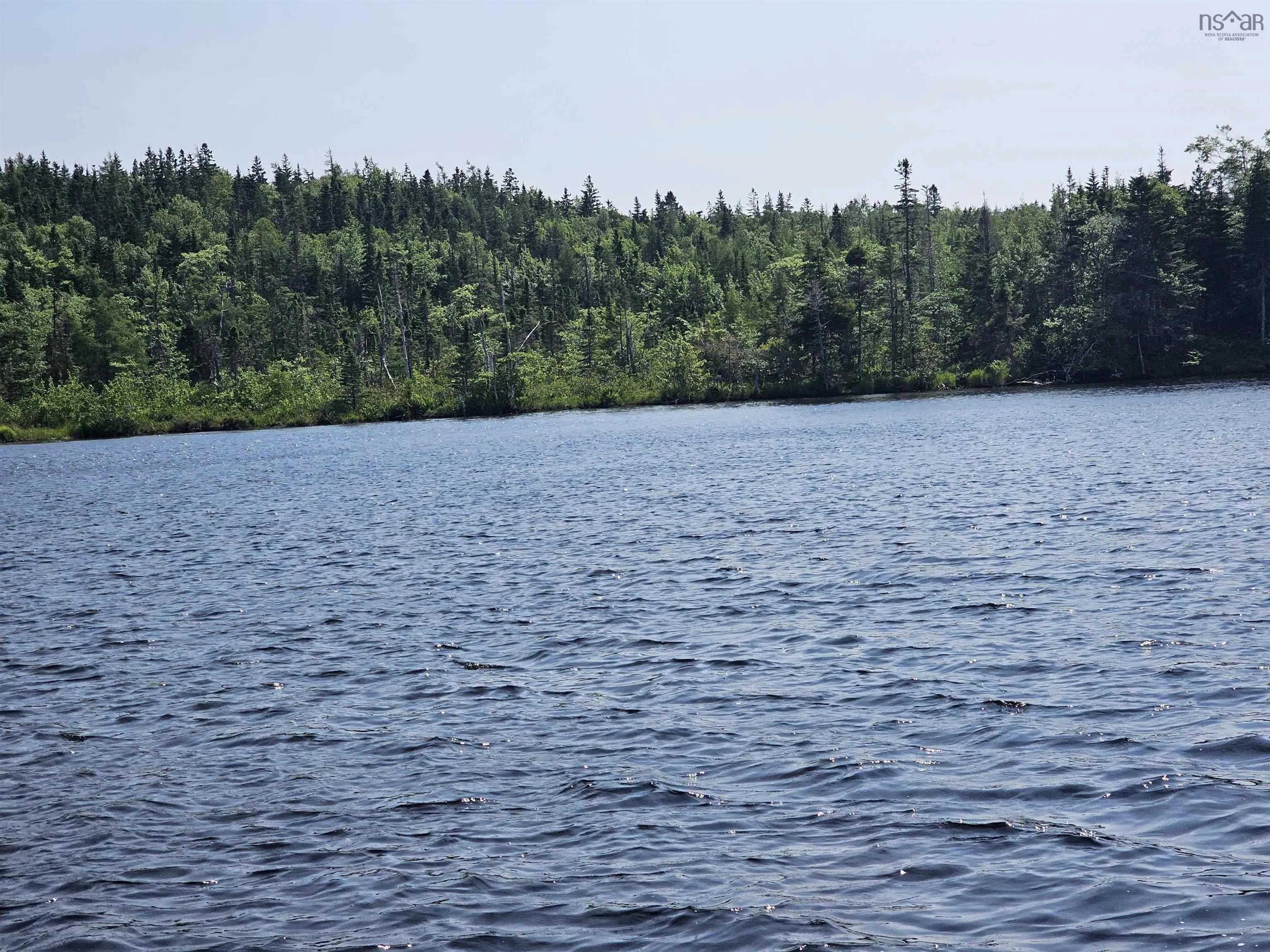 138 Grand Mira South Road, Marion Bridge Ns B1k 1e7, ,Land,For Sale,Grand Mira South,202507052