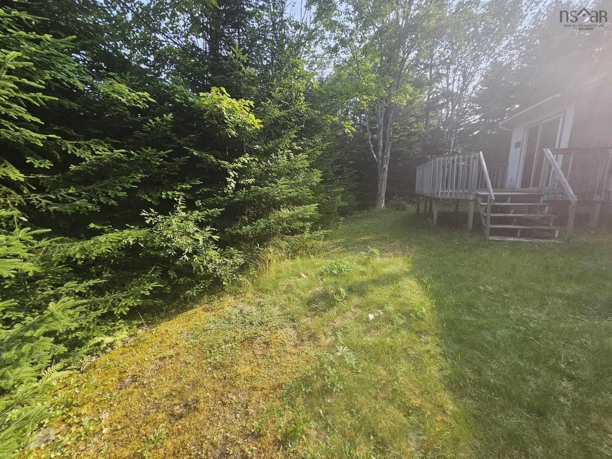 138 Grand Mira South Road, Marion Bridge Ns B1k 1e7, ,Land,For Sale,Grand Mira South,202507052