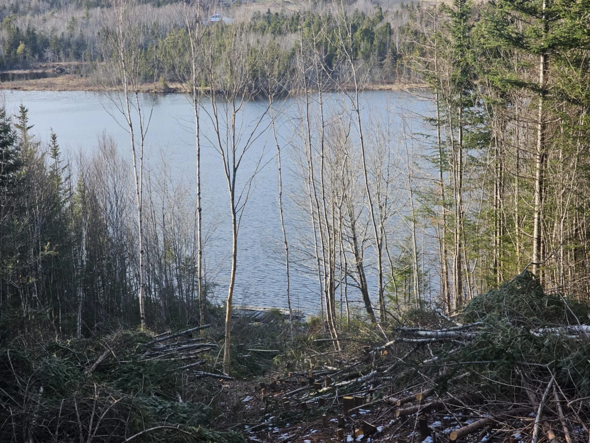138 Grand Mira South Road, Marion Bridge Ns B1k 1e7, ,Land,For Sale,Grand Mira South,202507052