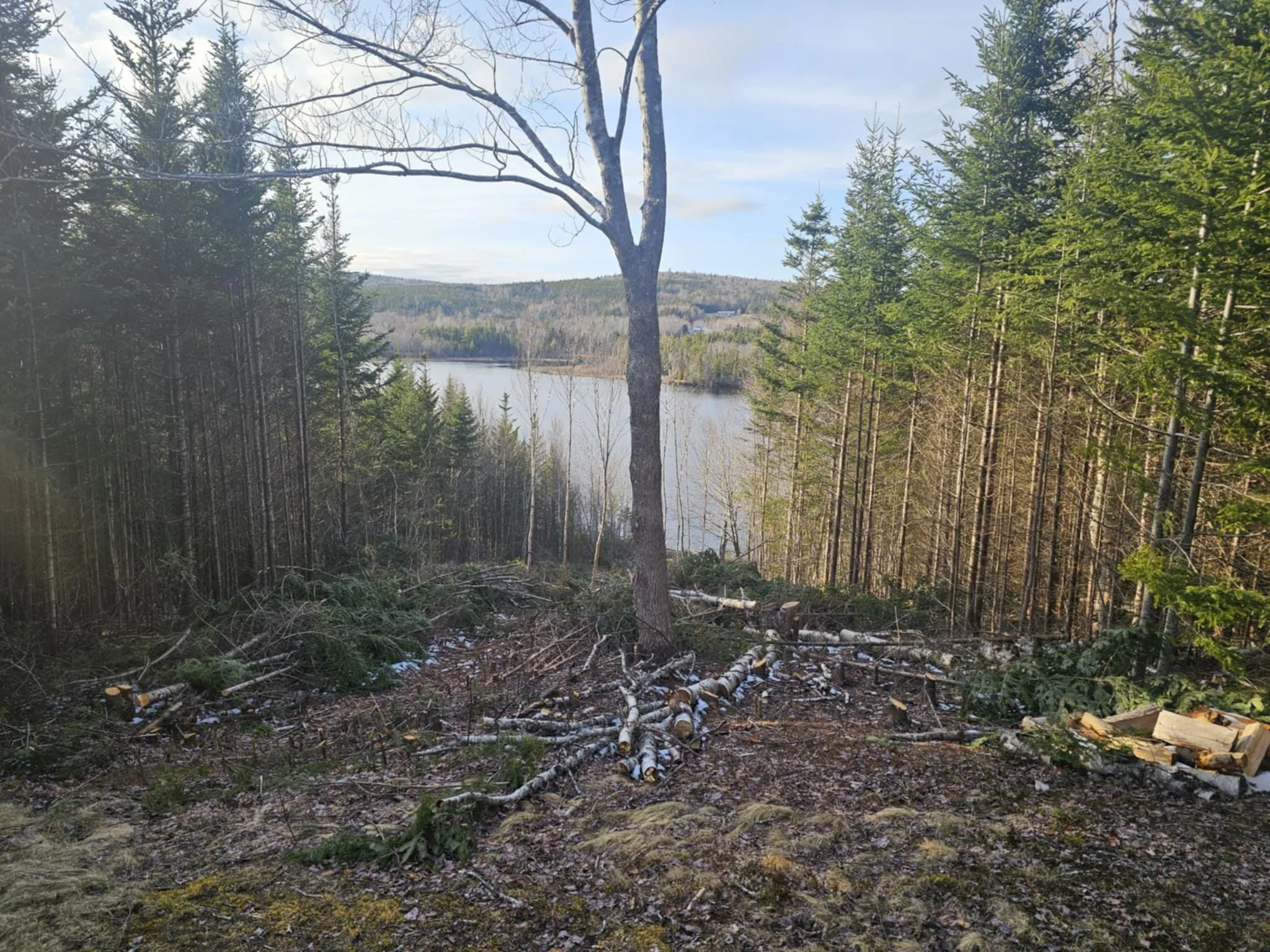 138 Grand Mira South Road, Marion Bridge Ns B1k 1e7, ,Land,For Sale,Grand Mira South,202507052