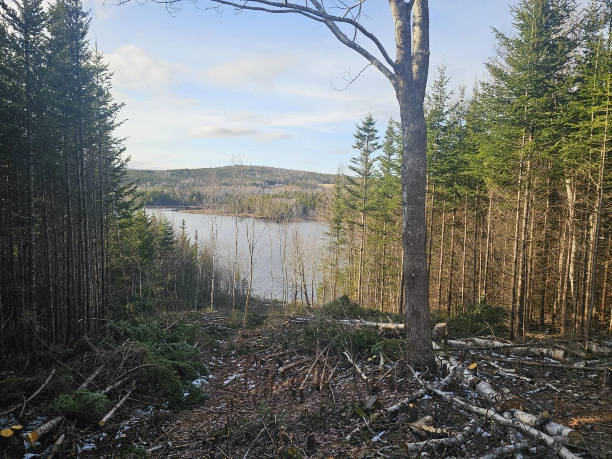 138 Grand Mira South Road, Marion Bridge Ns B1k 1e7, ,Land,For Sale,Grand Mira South,202507052