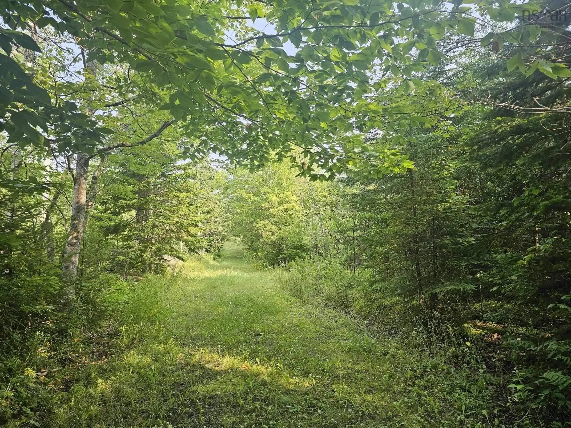 138 Grand Mira South Road, Marion Bridge Ns B1k 1e7, ,Land,For Sale,Grand Mira South,202507052