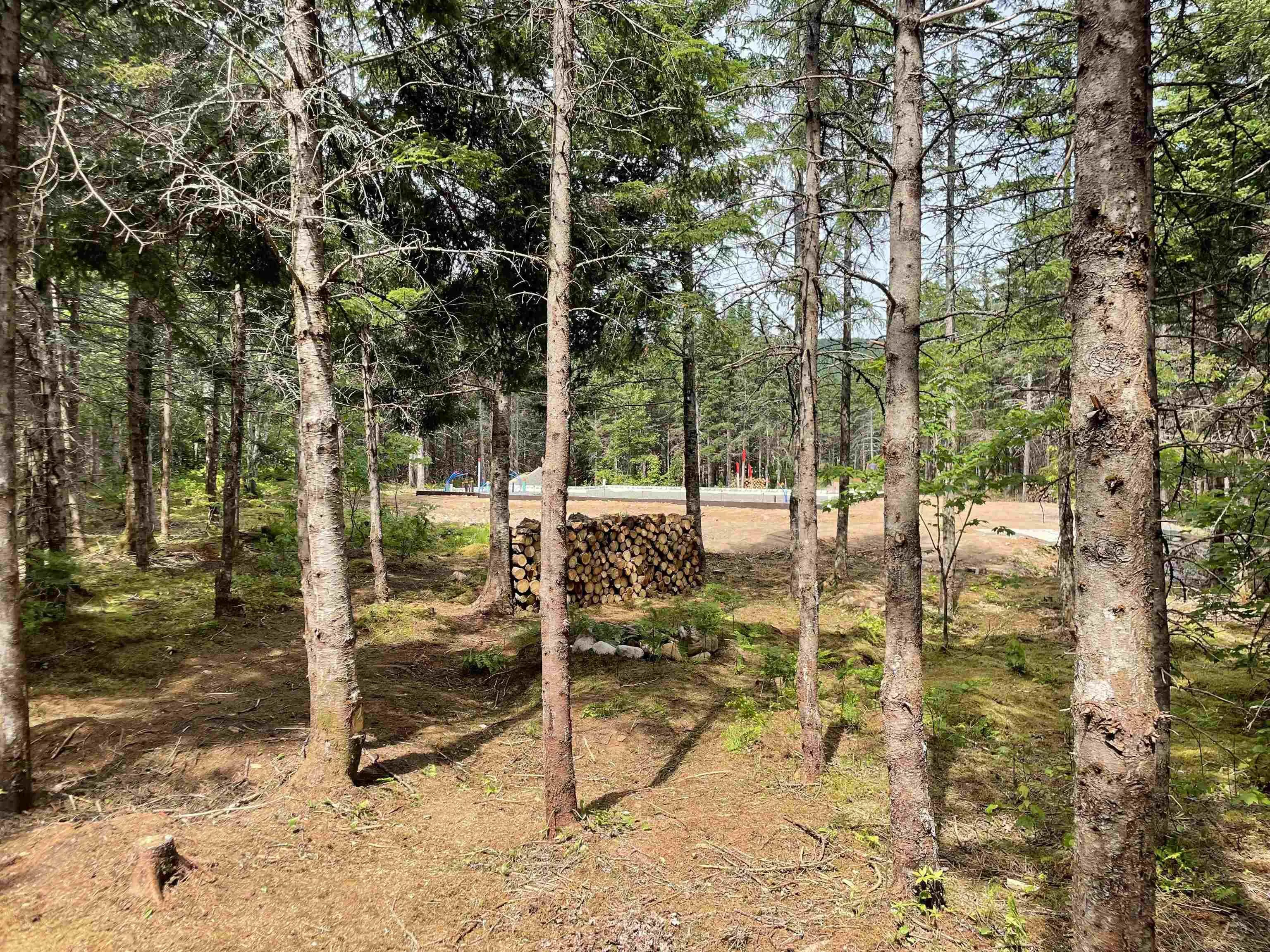 478 Hatchery Road, Portree, NS B0E 2C0, ,Land,For Sale,Hatchery,202517503
