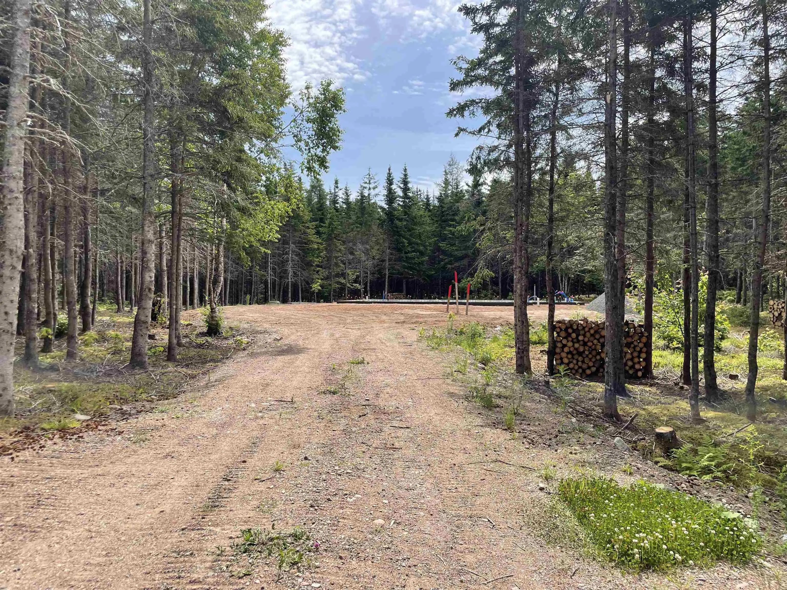 478 Hatchery Road, Portree, NS B0E 2C0, ,Land,For Sale,Hatchery,202517503