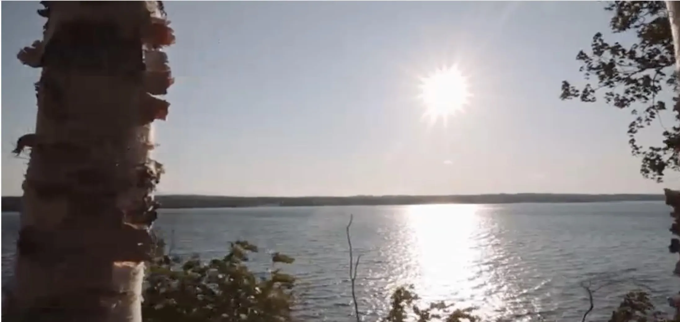Lot 9 Highway 348, Pictou Landing, NS B0K 1X0, ,Land,For Sale,Highway 348,202520331