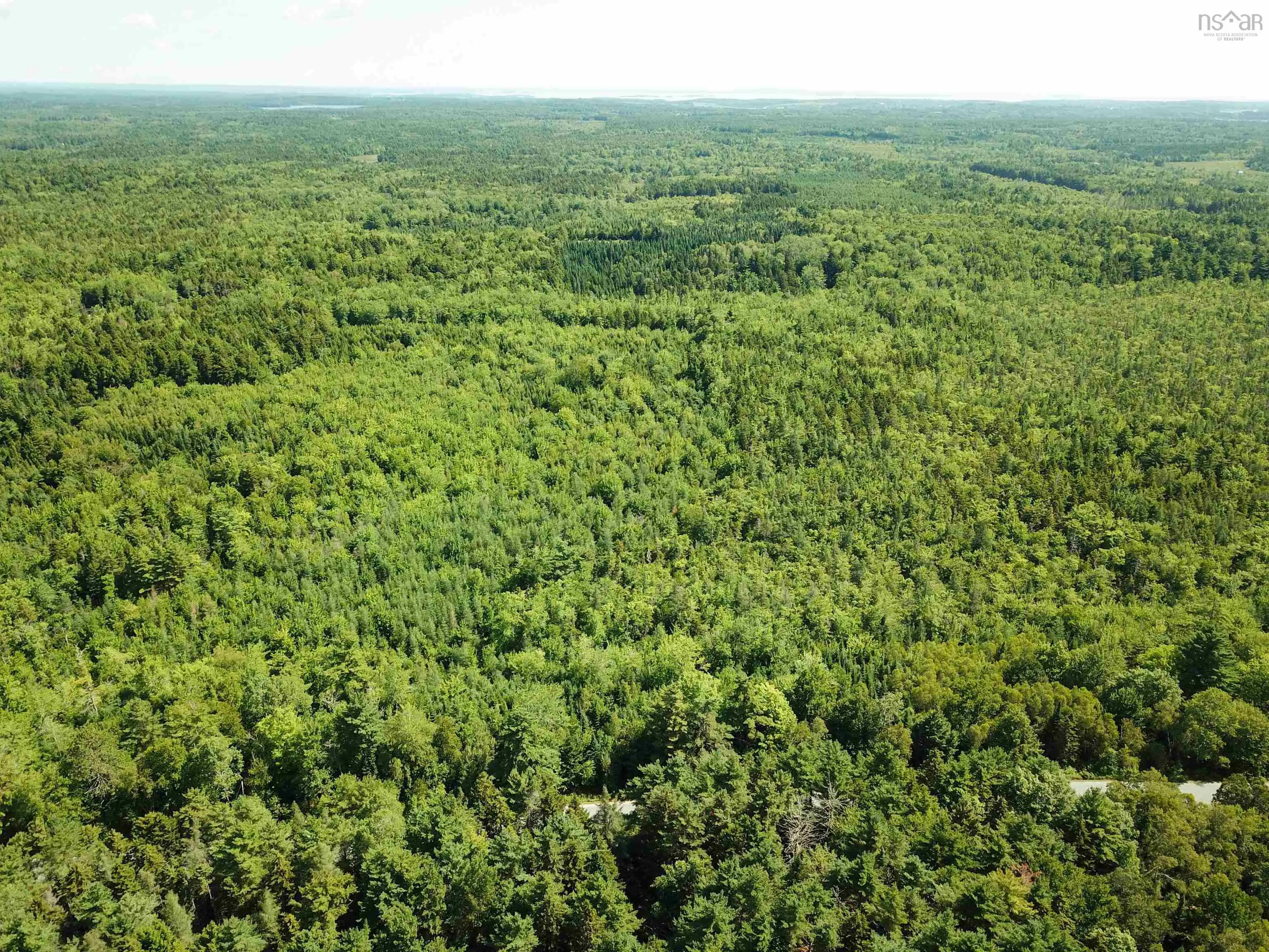 Crouses Settlement Road Lot 102, Crouses Settlement, NS B0J 2C0, ,Land,For Sale,Crouses Settlement,202519475