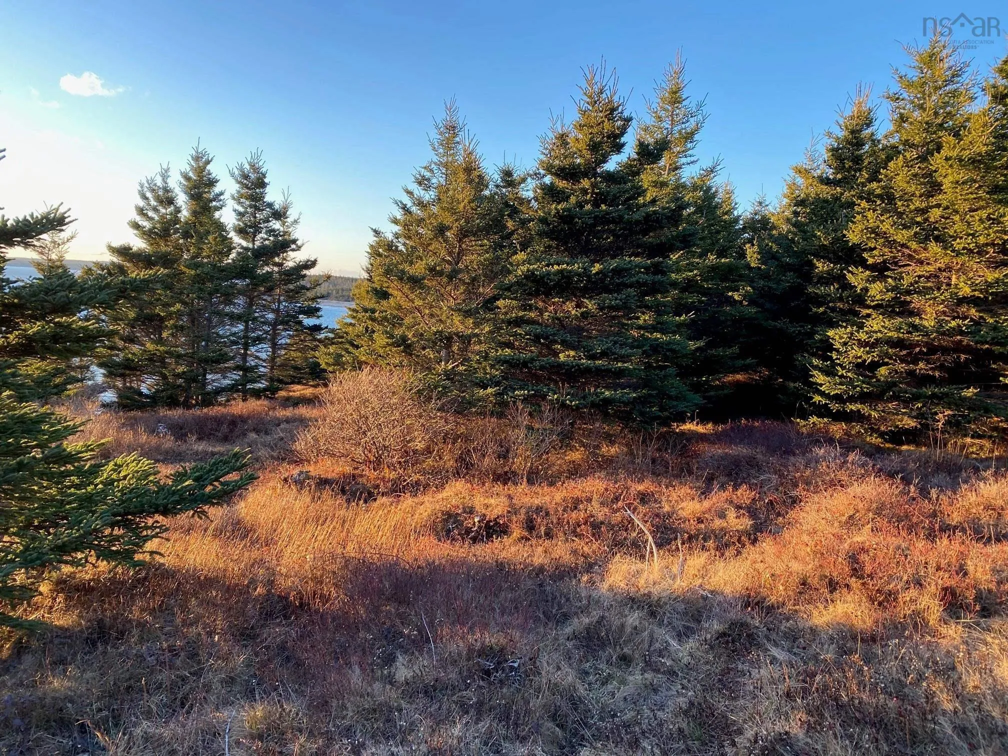 Barachoise Point Lot 26, Gegogan Harbour, NS B0J 3C0, ,Land,For Sale,Barachoise Point,202519578