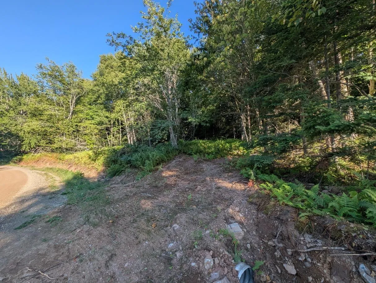 Glen Albert Drive, Big Pond, NS B1J 1R6, ,Land,For Sale,Glen Albert,202522731