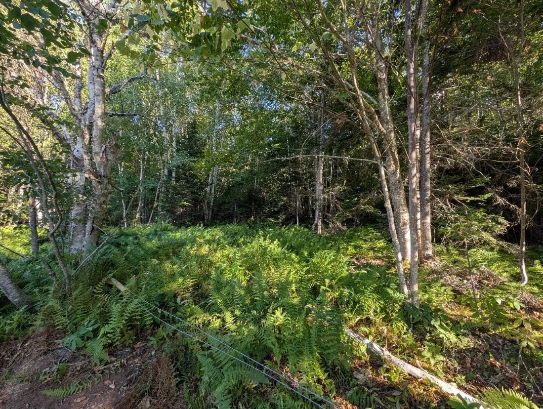 Glen Albert Drive, Big Pond, NS B1J 1R6, ,Land,For Sale,Glen Albert,202522731