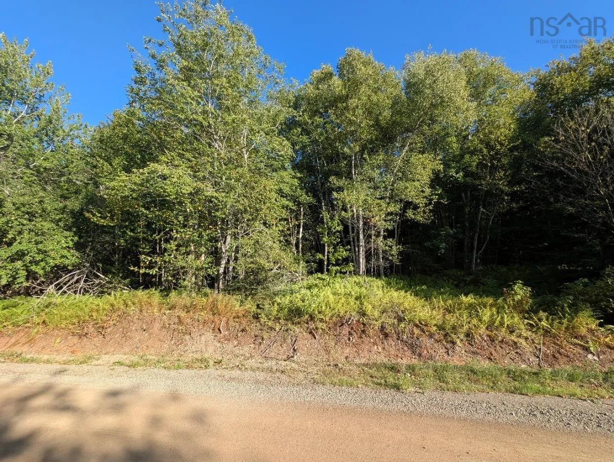 Glen Albert Drive, Big Pond, NS B1J 1R6, ,Land,For Sale,Glen Albert,202522731