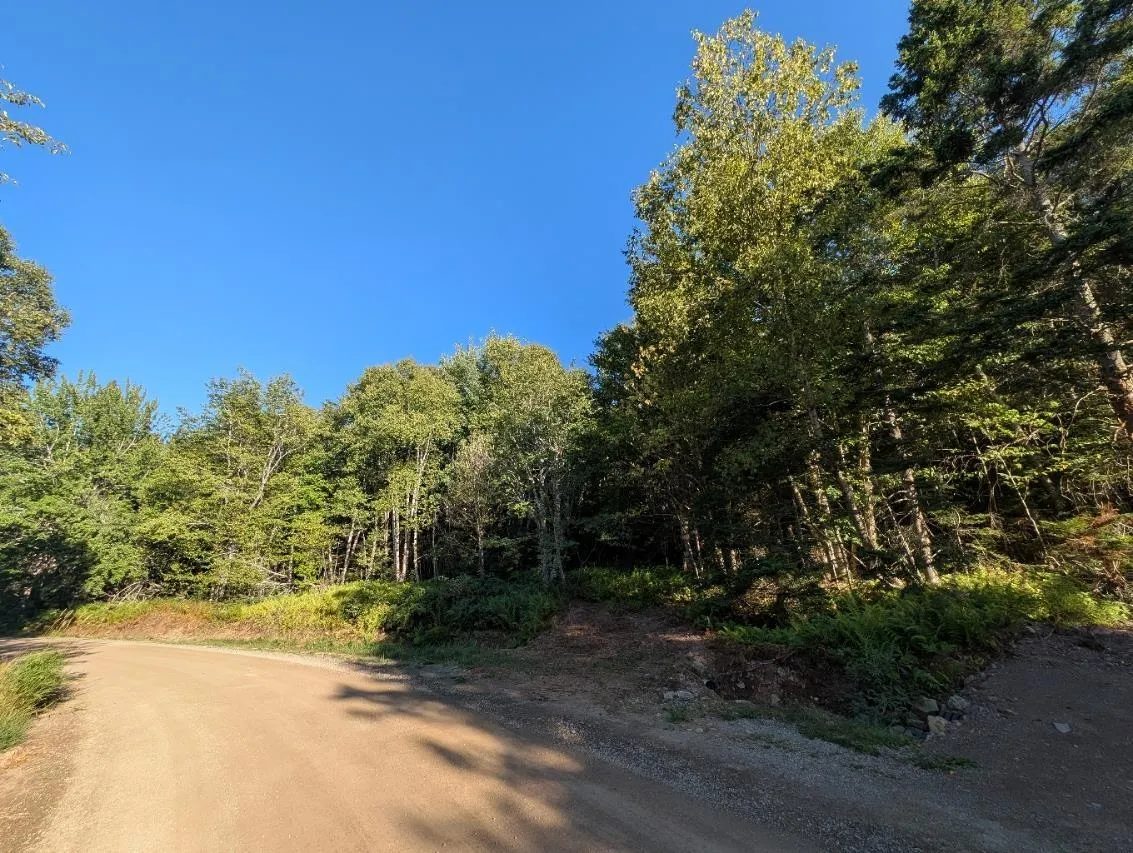 Glen Albert Drive, Big Pond, NS B1J 1R6, ,Land,For Sale,Glen Albert,202522731