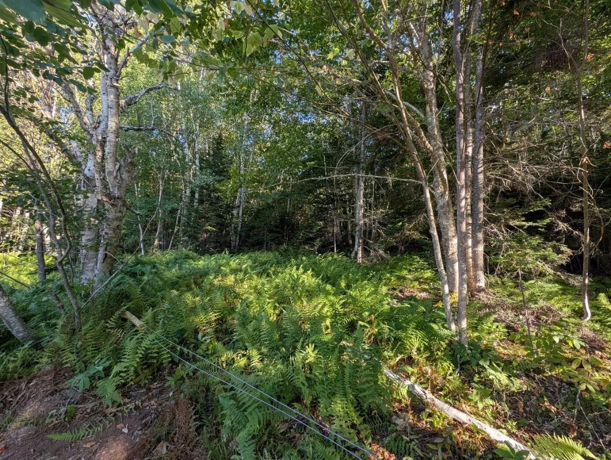 Glen Albert Drive, Big Pond, NS B1J 1R6, ,Land,For Sale,Glen Albert,202522731