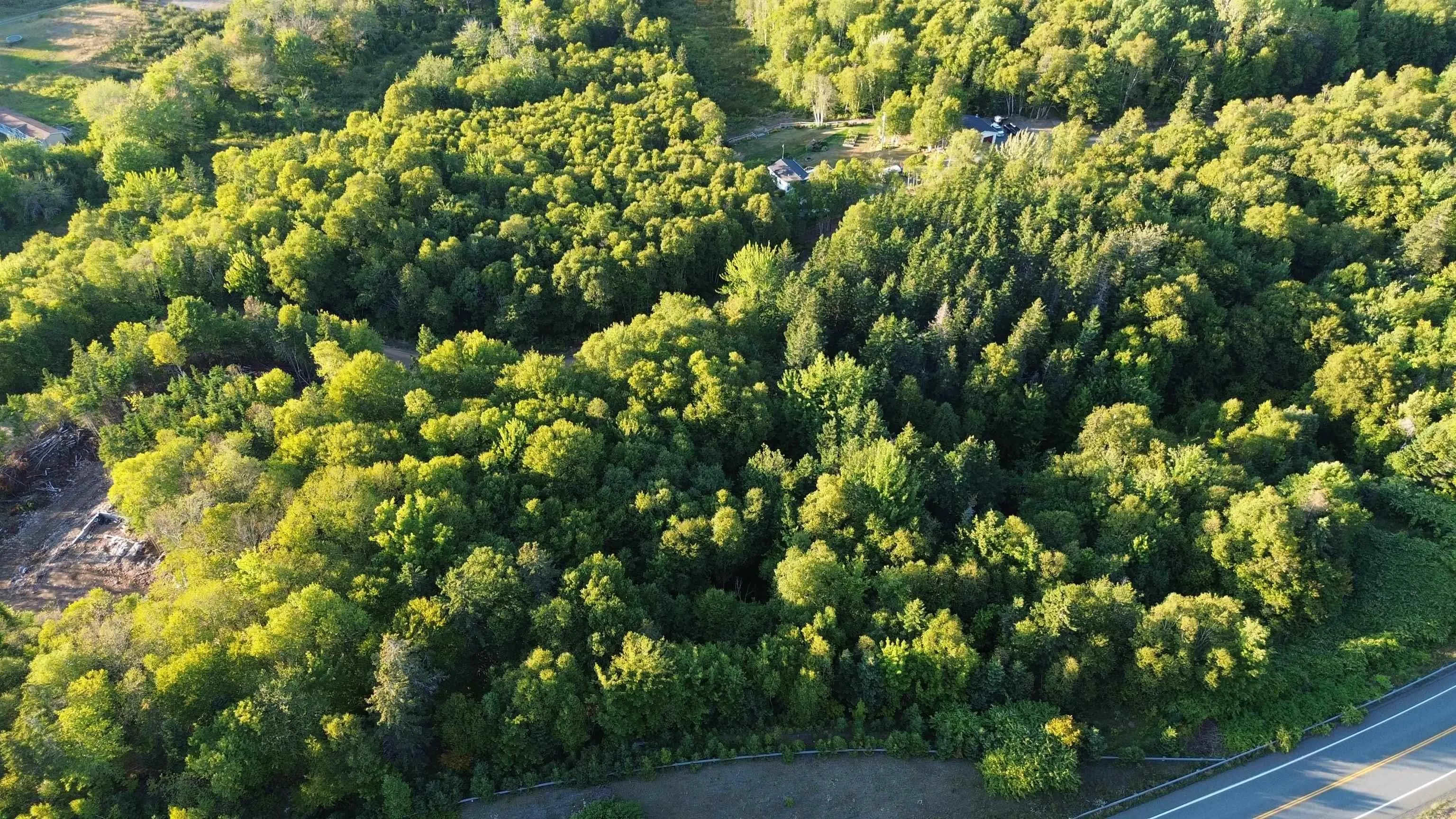 Glen Albert Drive, Big Pond, NS B1J 1R6, ,Land,For Sale,Glen Albert,202522731