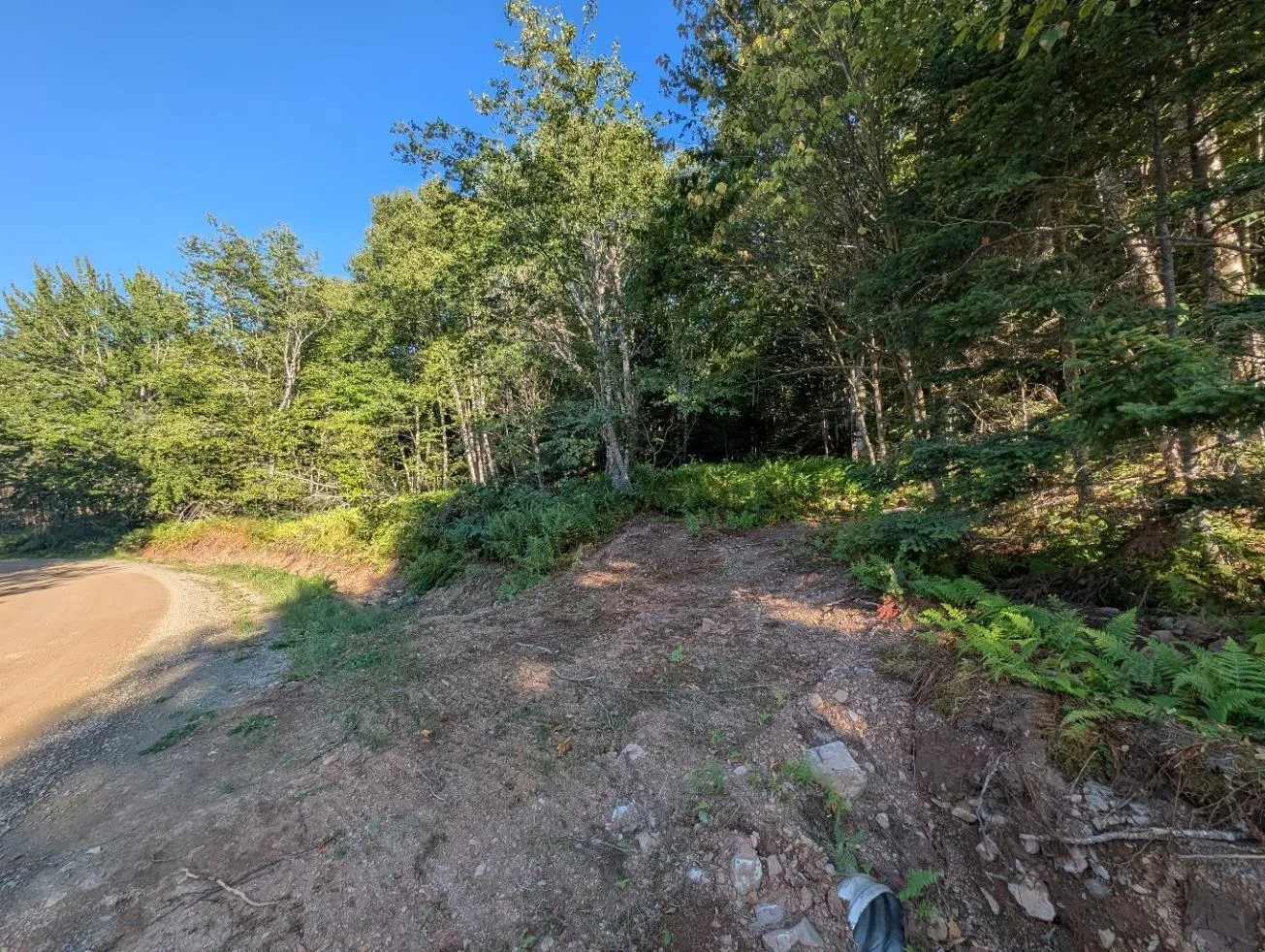 Glen Albert Drive, Big Pond, NS B1J 1R6, ,Land,For Sale,Glen Albert,202522731