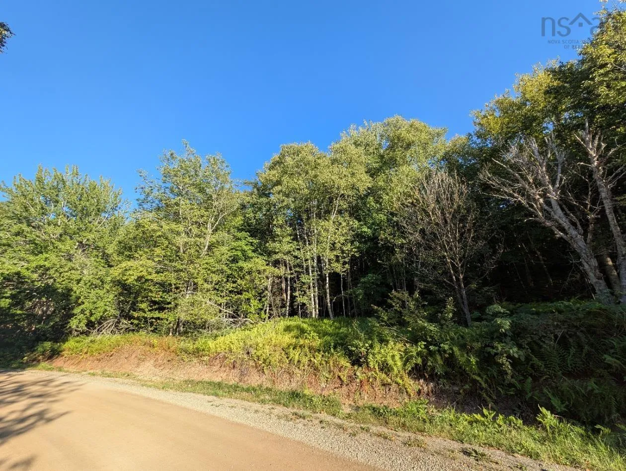 Glen Albert Drive, Big Pond, NS B1J 1R6, ,Land,For Sale,Glen Albert,202522731