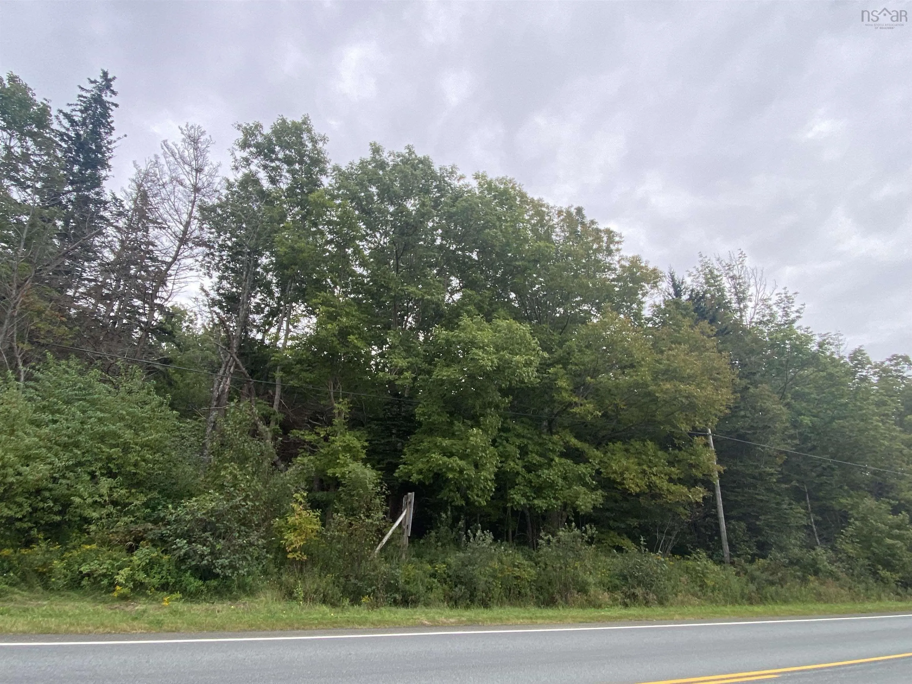 #101 Highway, Plympton, NS B0W 2R0, ,Land,For Sale,#101,202517782