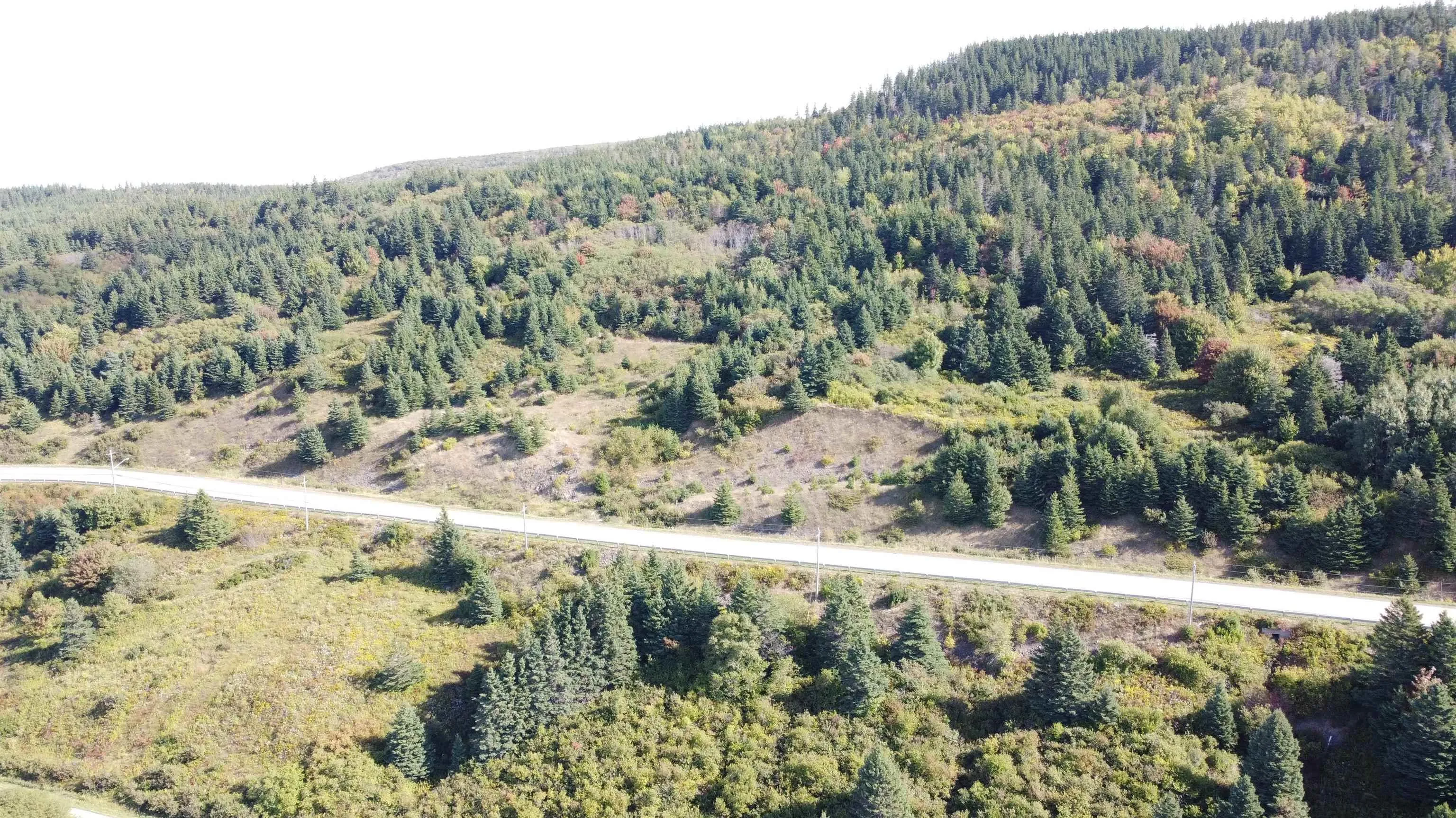 No 19 Highway, Craigmore Ns B0e 1p0, ,Land,For Sale,No 19 Highway,202422903