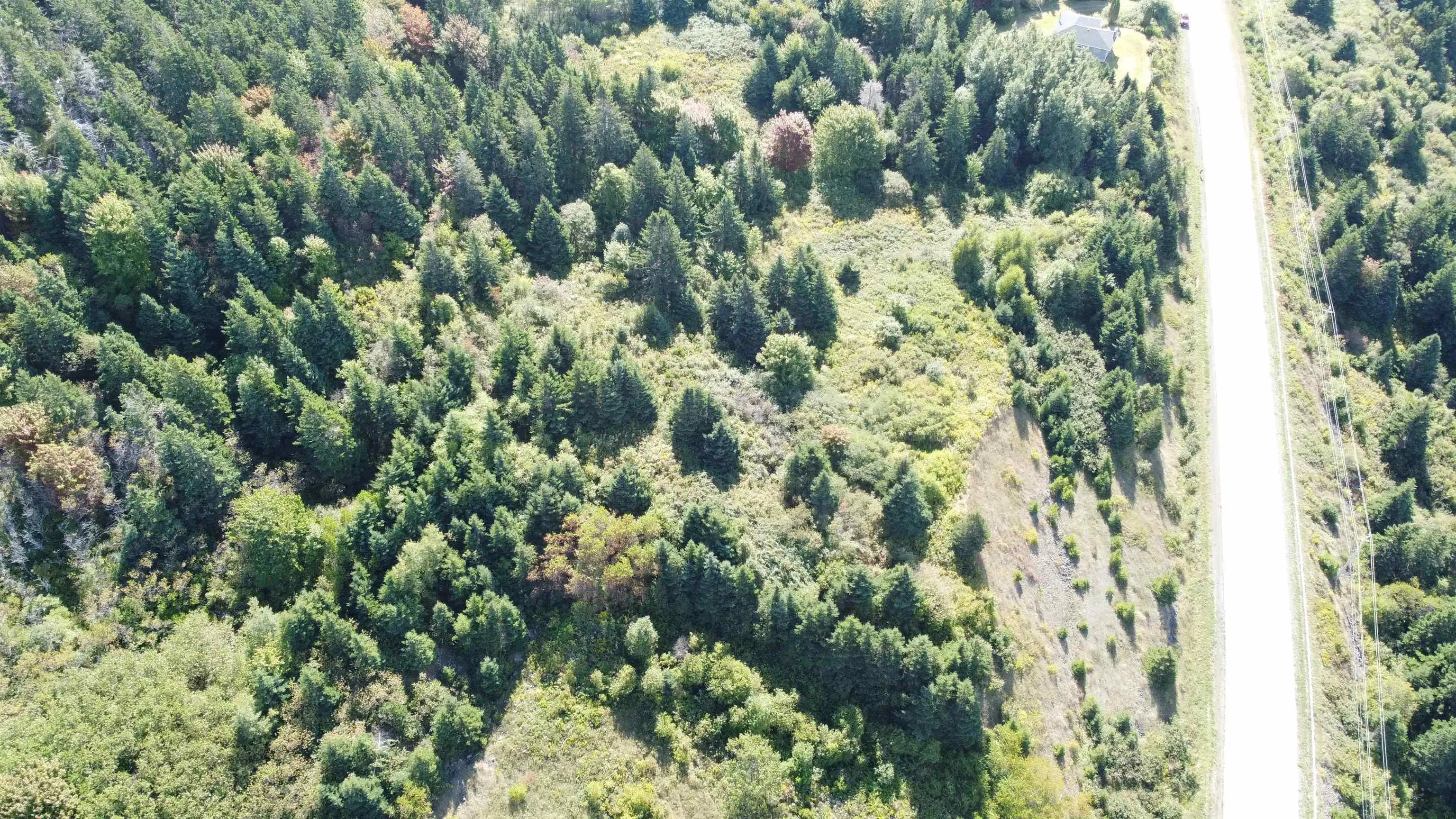 No 19 Highway, Craigmore Ns B0e 1p0, ,Land,For Sale,No 19 Highway,202422903