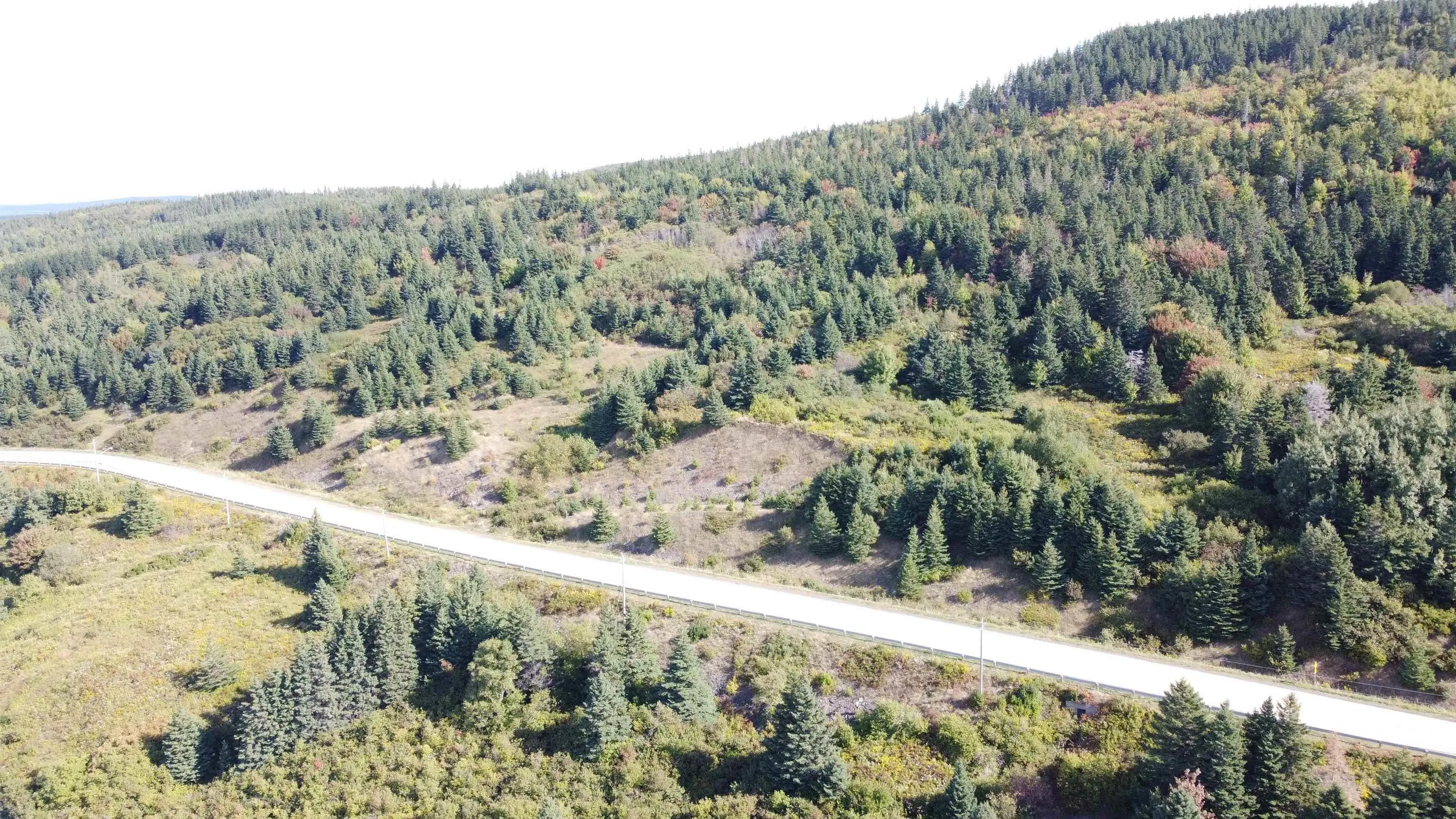 No 19 Highway, Craigmore Ns B0e 1p0, ,Land,For Sale,No 19 Highway,202422903