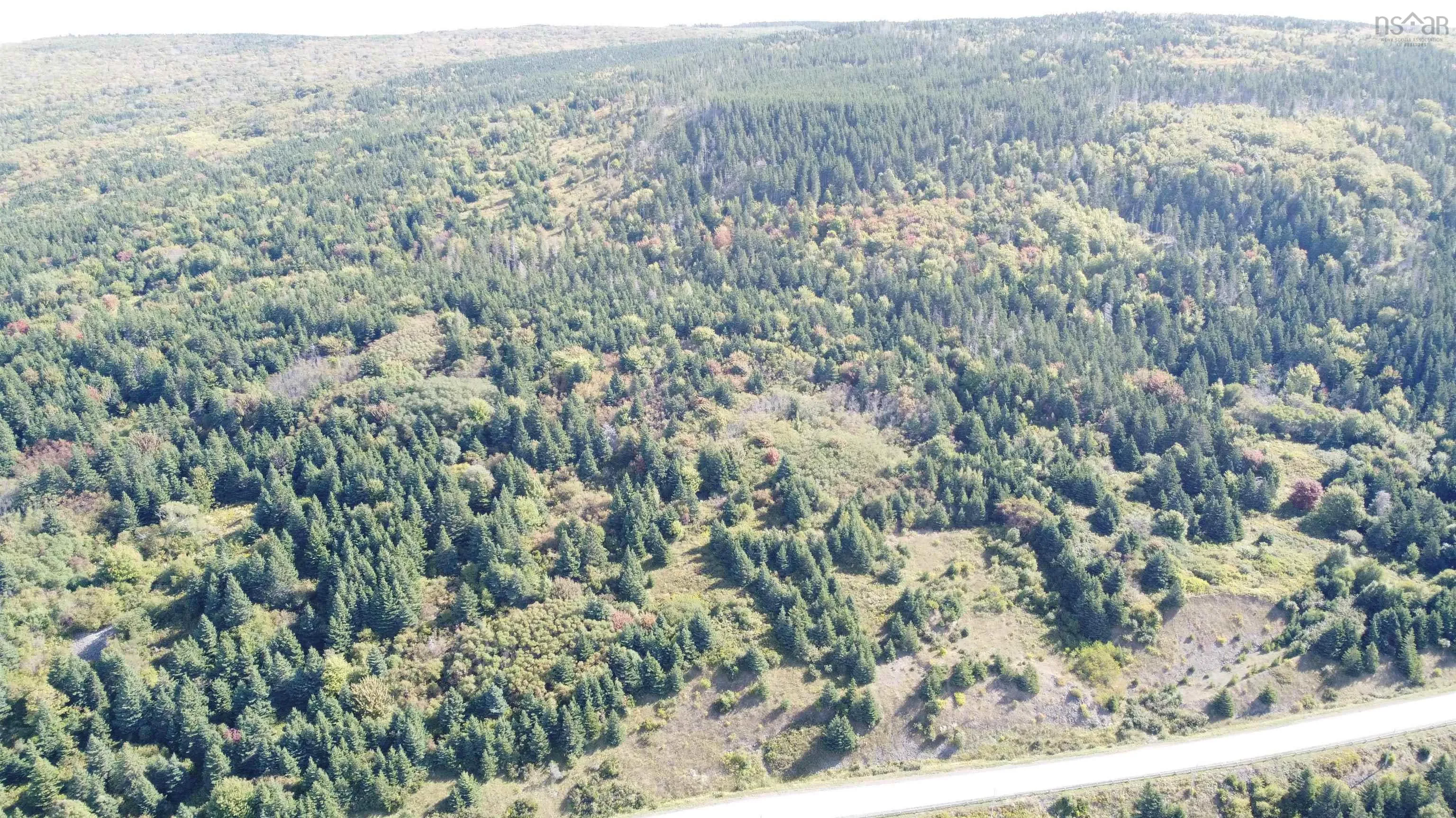No 19 Highway, Craigmore Ns B0e 1p0, ,Land,For Sale,No 19 Highway,202422903