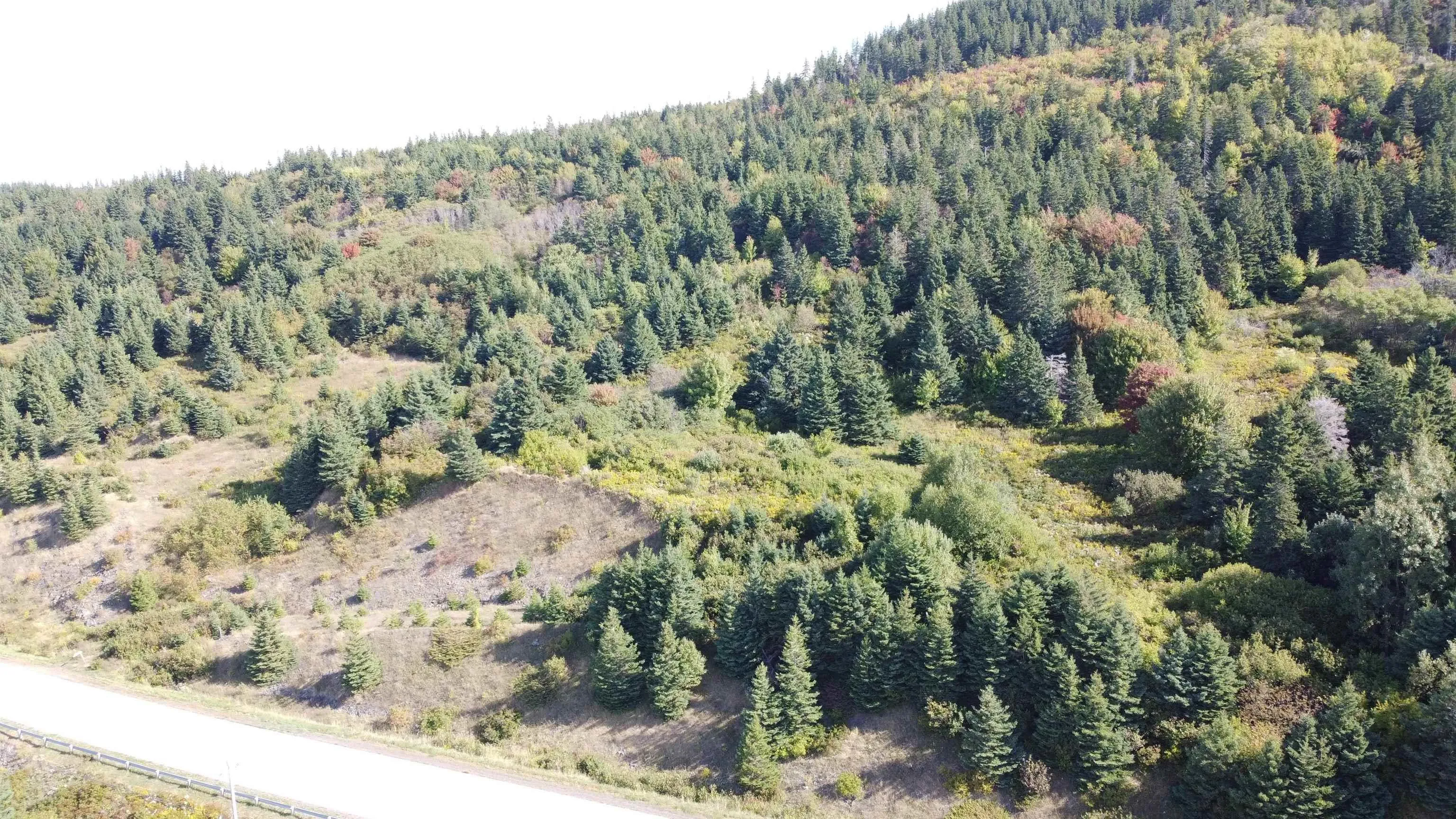 No 19 Highway, Craigmore Ns B0e 1p0, ,Land,For Sale,No 19 Highway,202422903