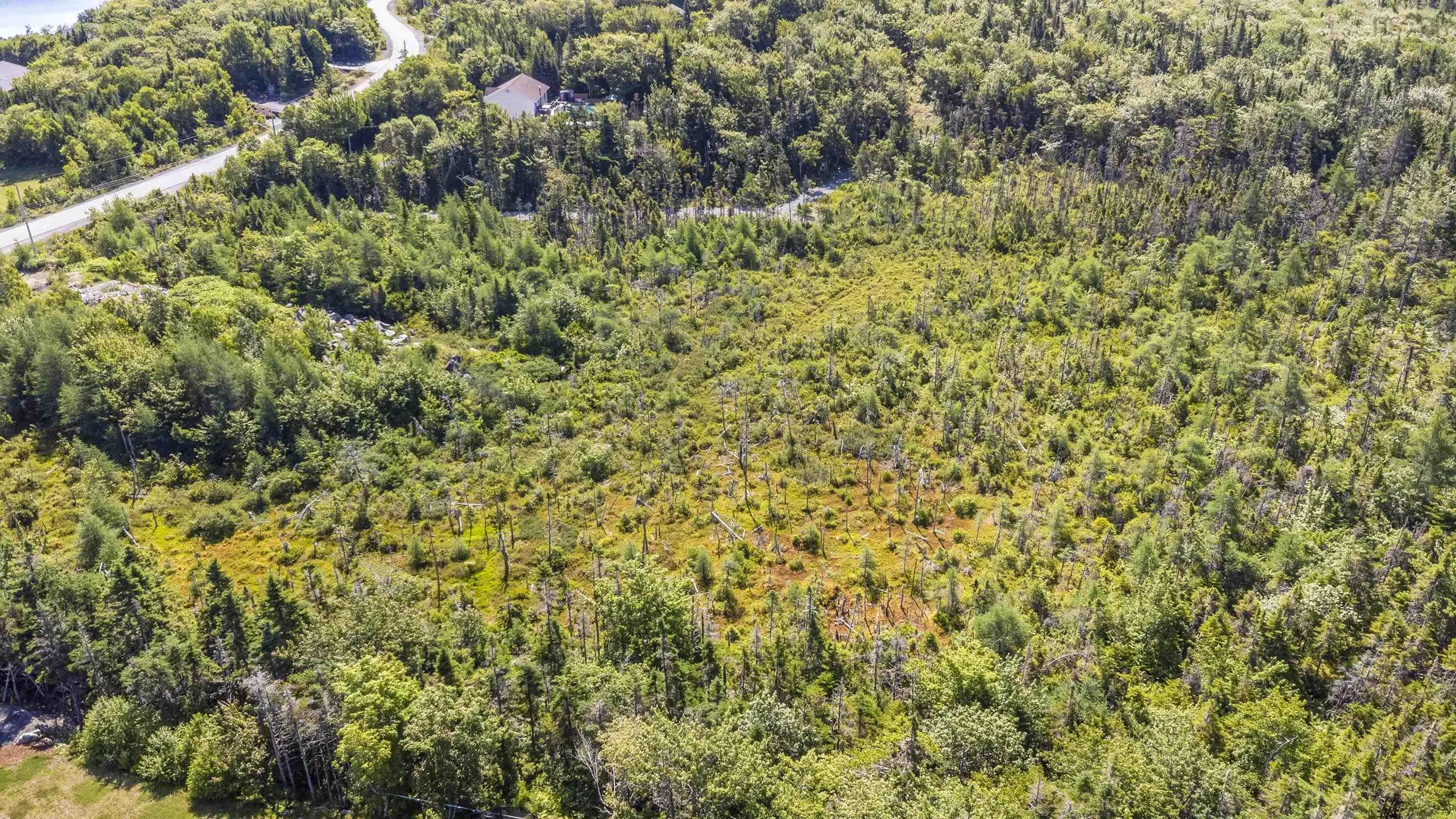 108 Sarah Ingraham Drive, Williamswood, NS B3V 1N2, ,Land,For Sale,Sarah Ingraham,202518354