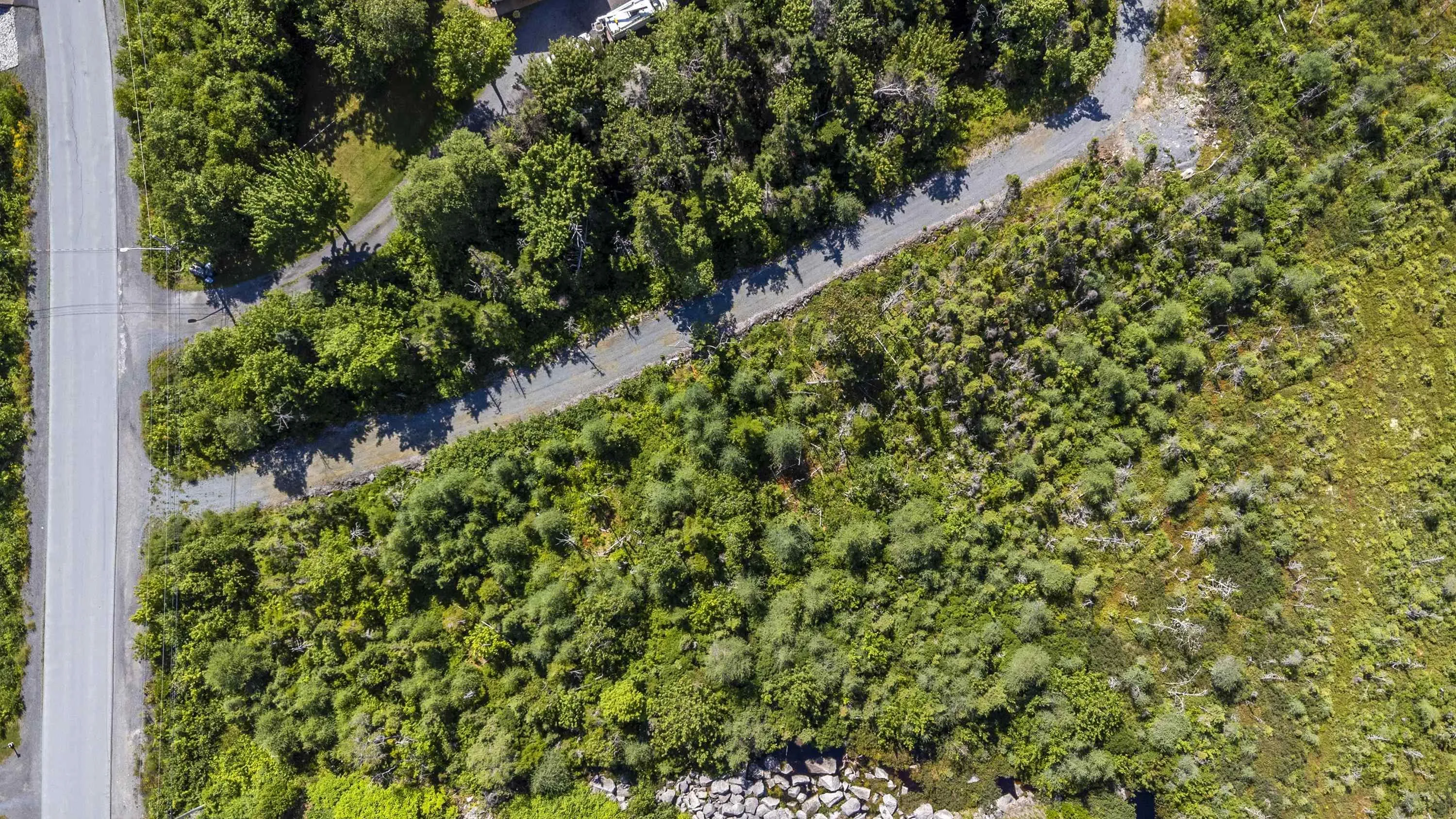 108 Sarah Ingraham Drive, Williamswood, NS B3V 1N2, ,Land,For Sale,Sarah Ingraham,202518354