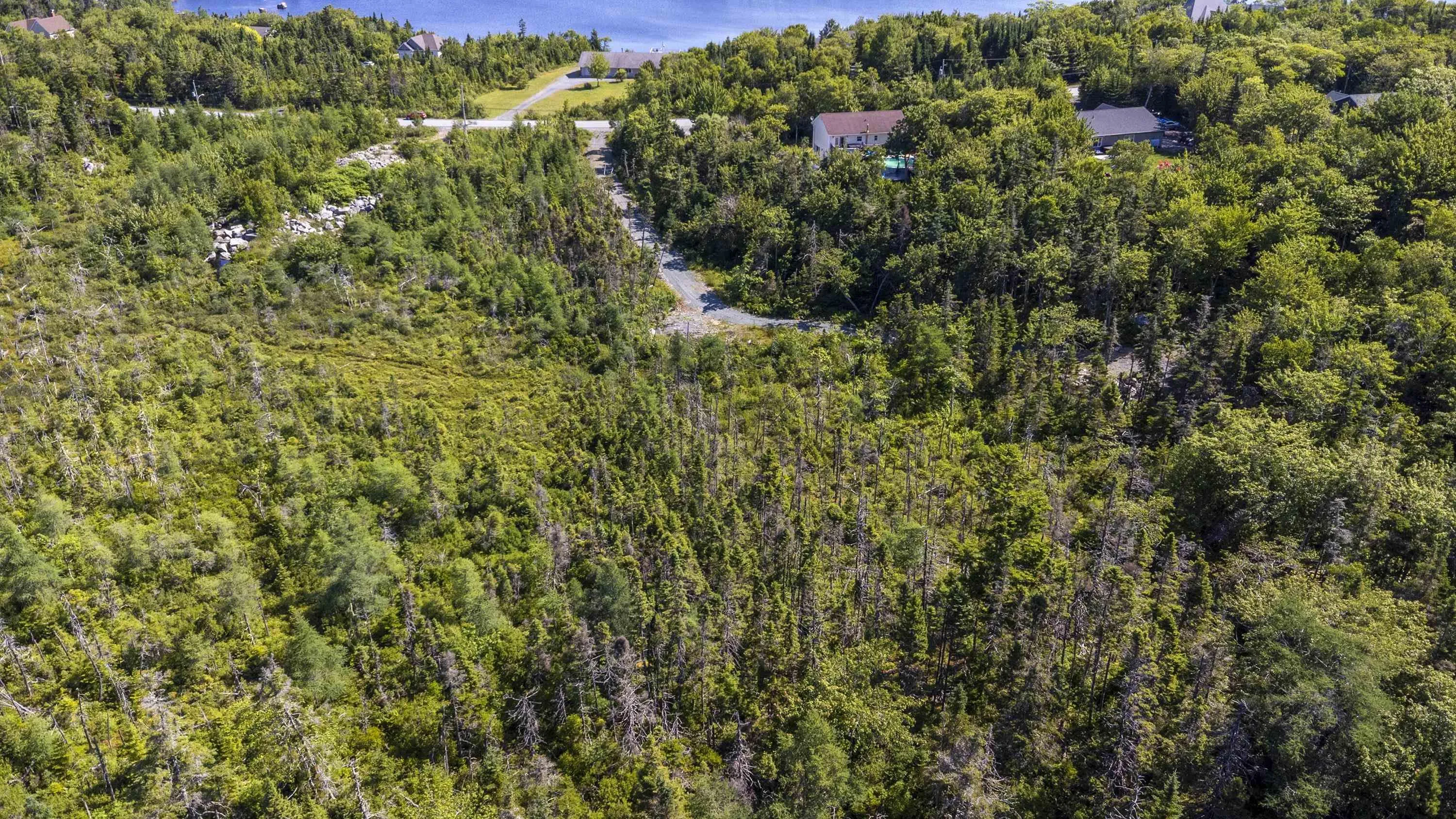 108 Sarah Ingraham Drive, Williamswood, NS B3V 1N2, ,Land,For Sale,Sarah Ingraham,202518354