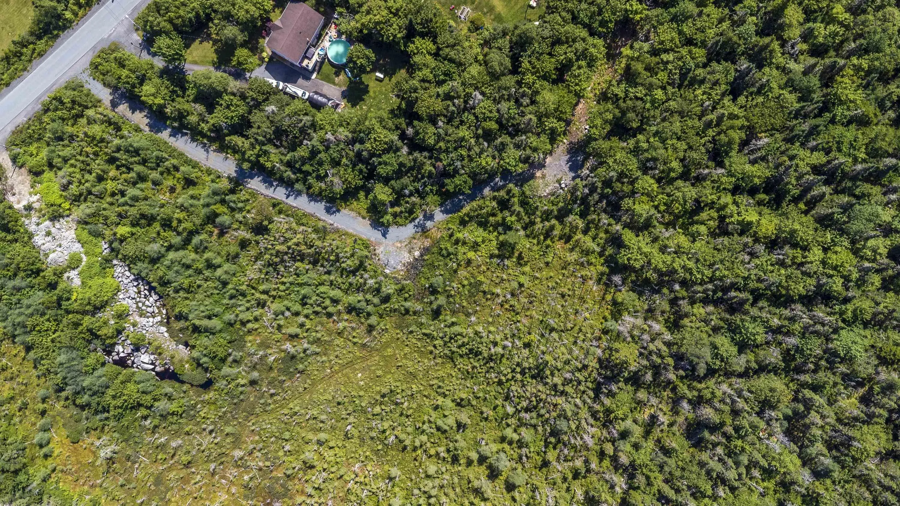 108 Sarah Ingraham Drive, Williamswood, NS B3V 1N2, ,Land,For Sale,Sarah Ingraham,202518354