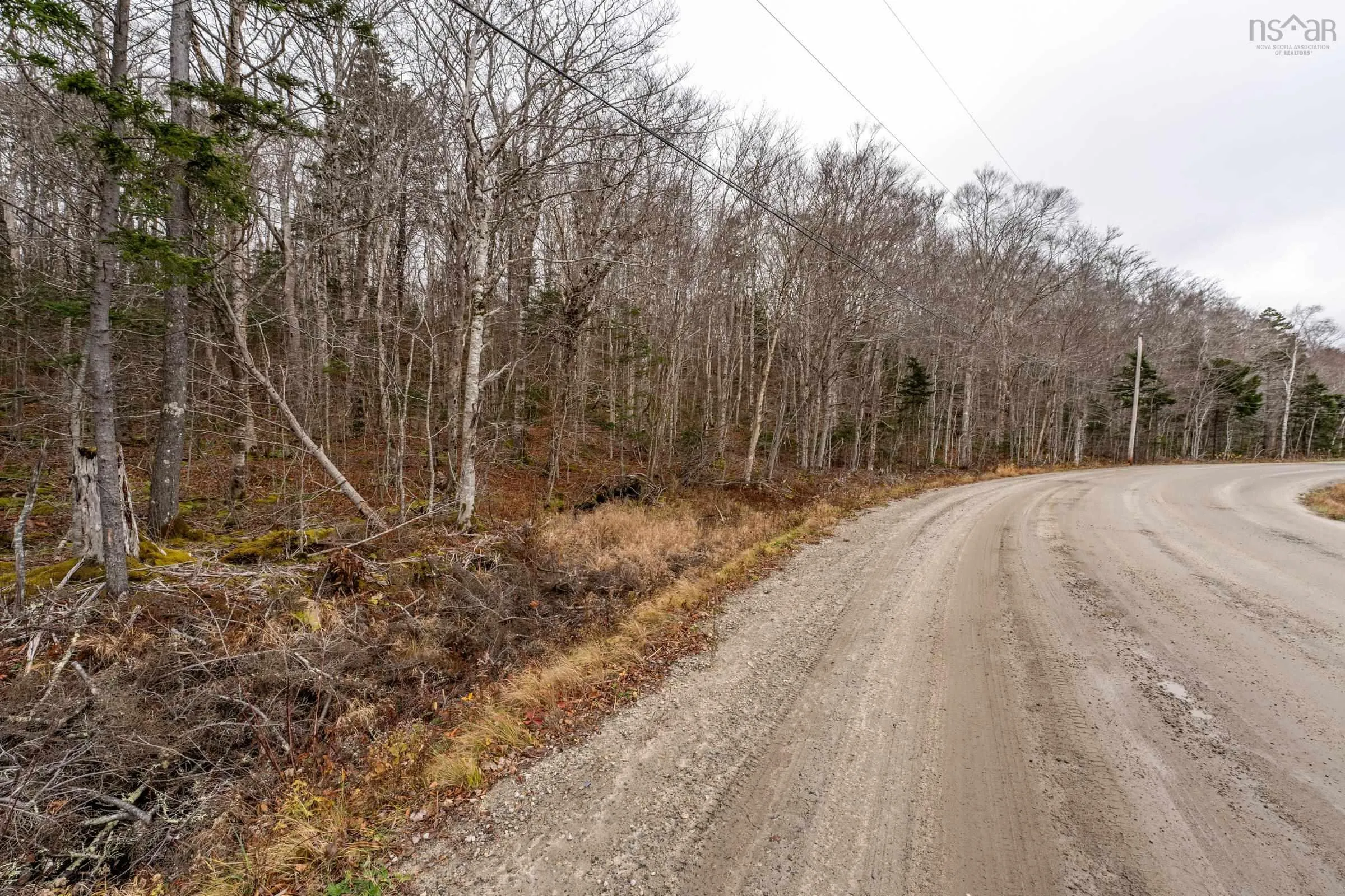 Lot Charles Road, Concession Ns B0w 1z0, ,Land,For Sale,Charles Road,202427485