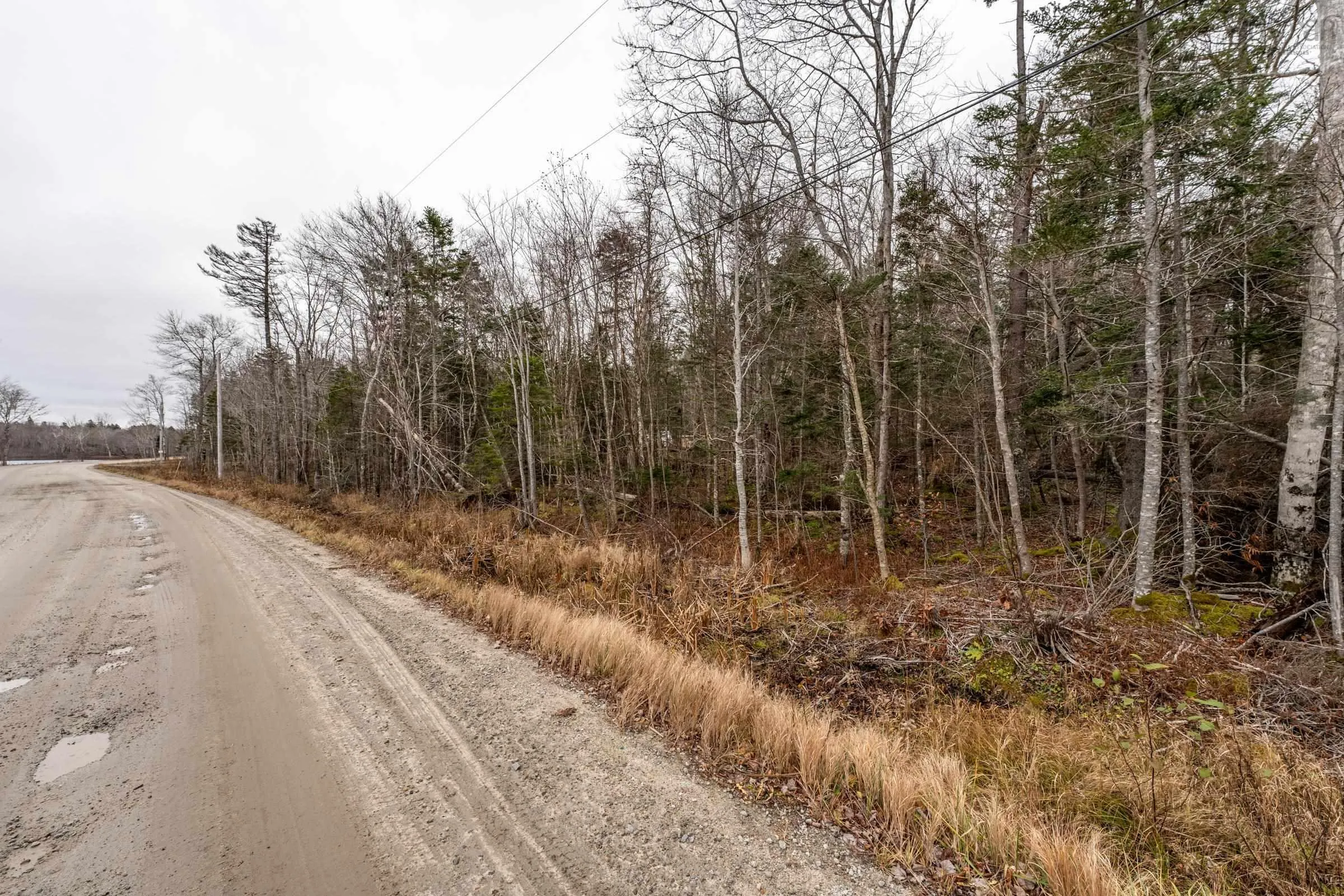 Lot Charles Road, Concession Ns B0w 1z0, ,Land,For Sale,Charles Road,202427485