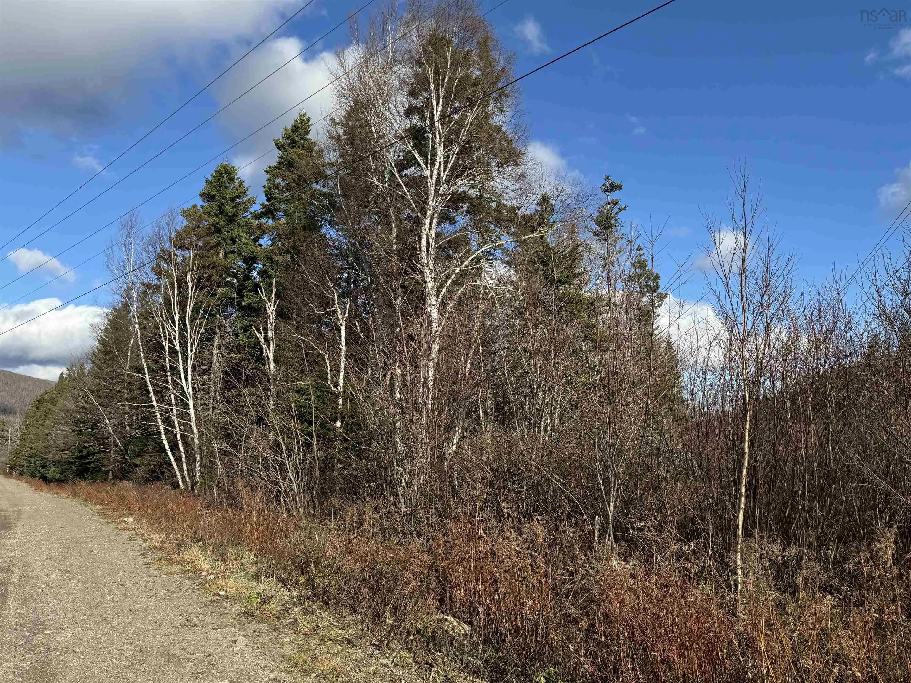 Parcel B Cabot Trail, Tarbot Ns B0e 1b0, ,Land,For Sale,Cabot,202505599