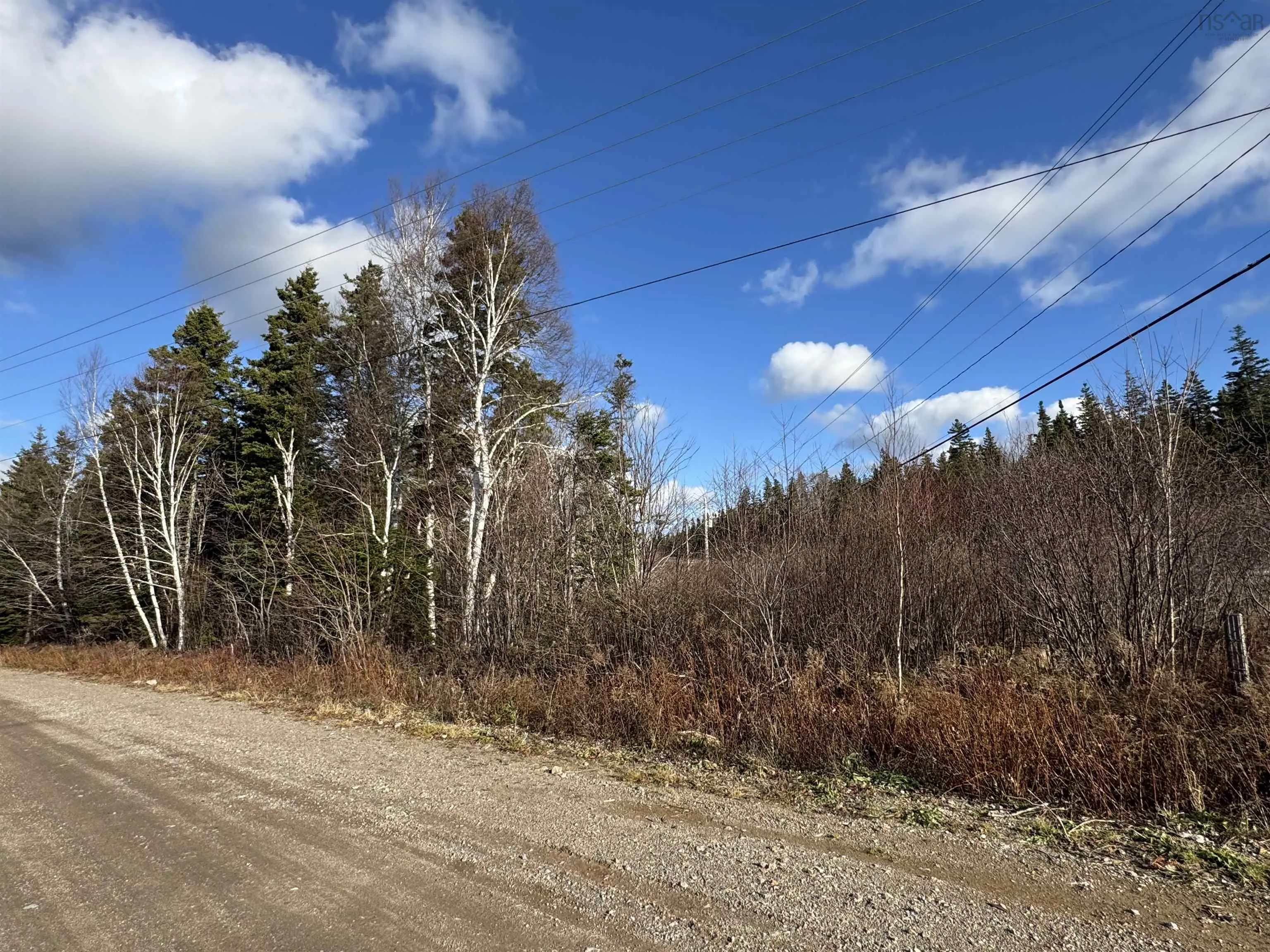 Parcel B Cabot Trail, Tarbot Ns B0e 1b0, ,Land,For Sale,Cabot,202505599